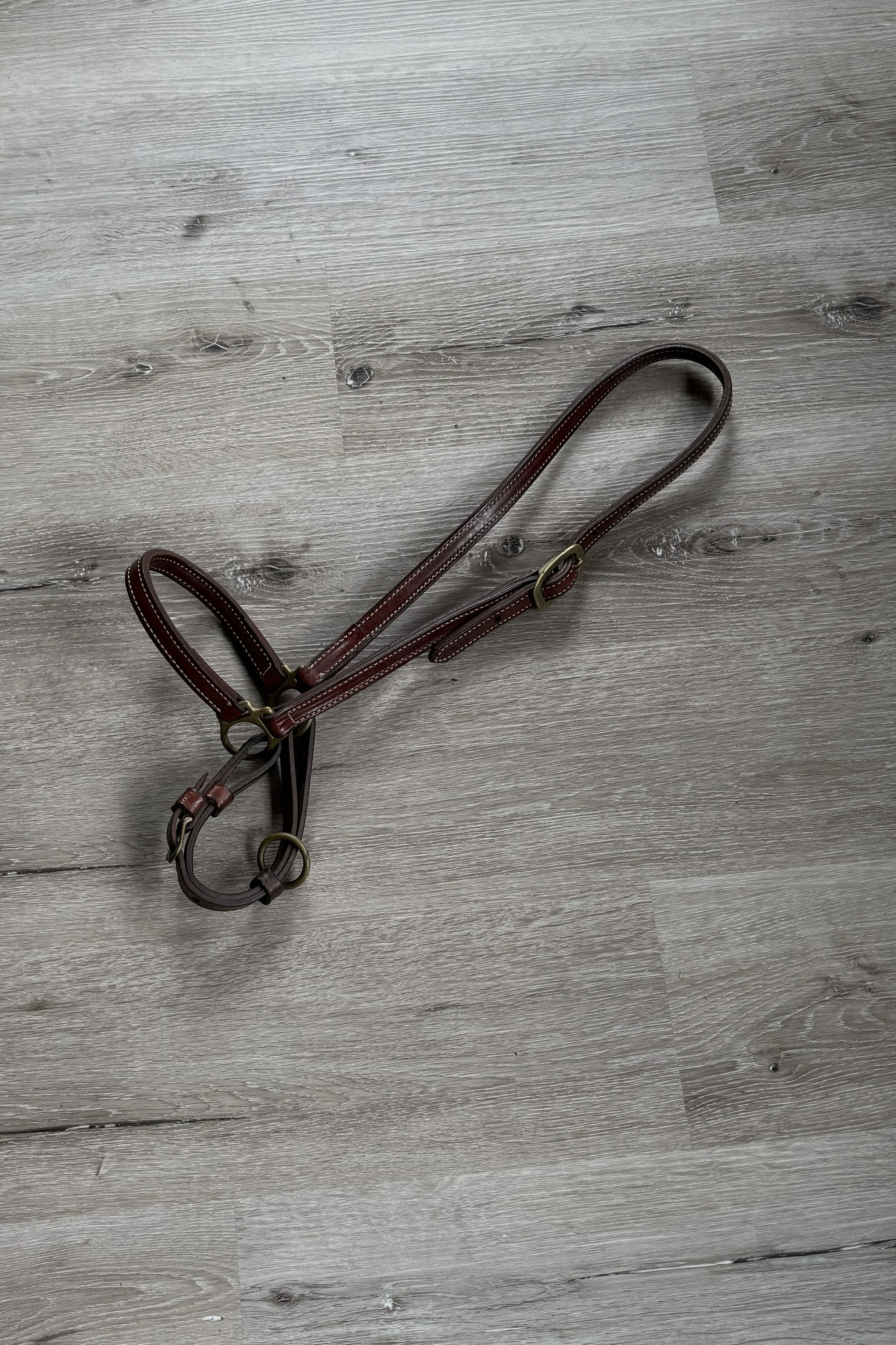 Dover Grooming Halter In Brown - Full