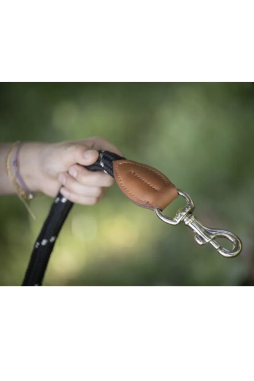 leash-2.jpg