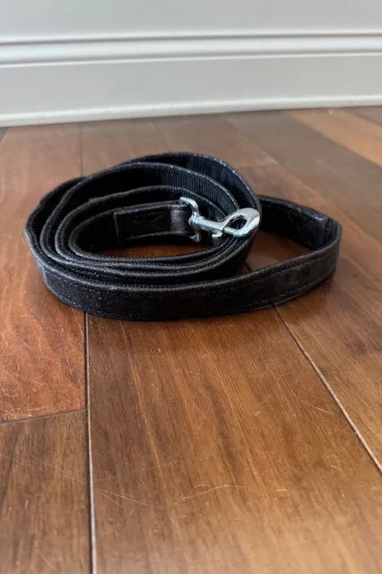 Nylon Lined Dog Leash In Purple Glitter - Large