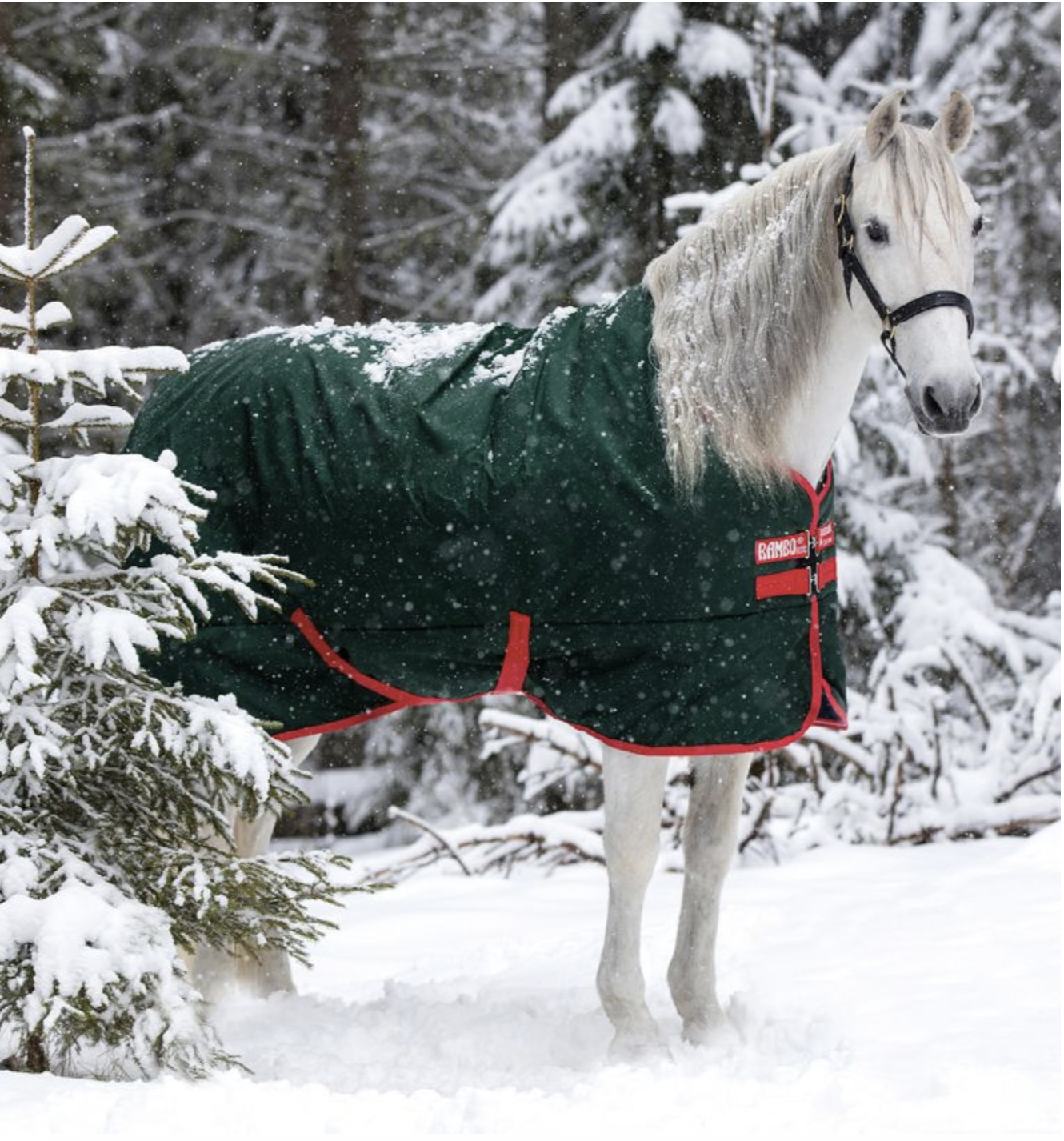 Rambo Original Turnout Green/Red 72"