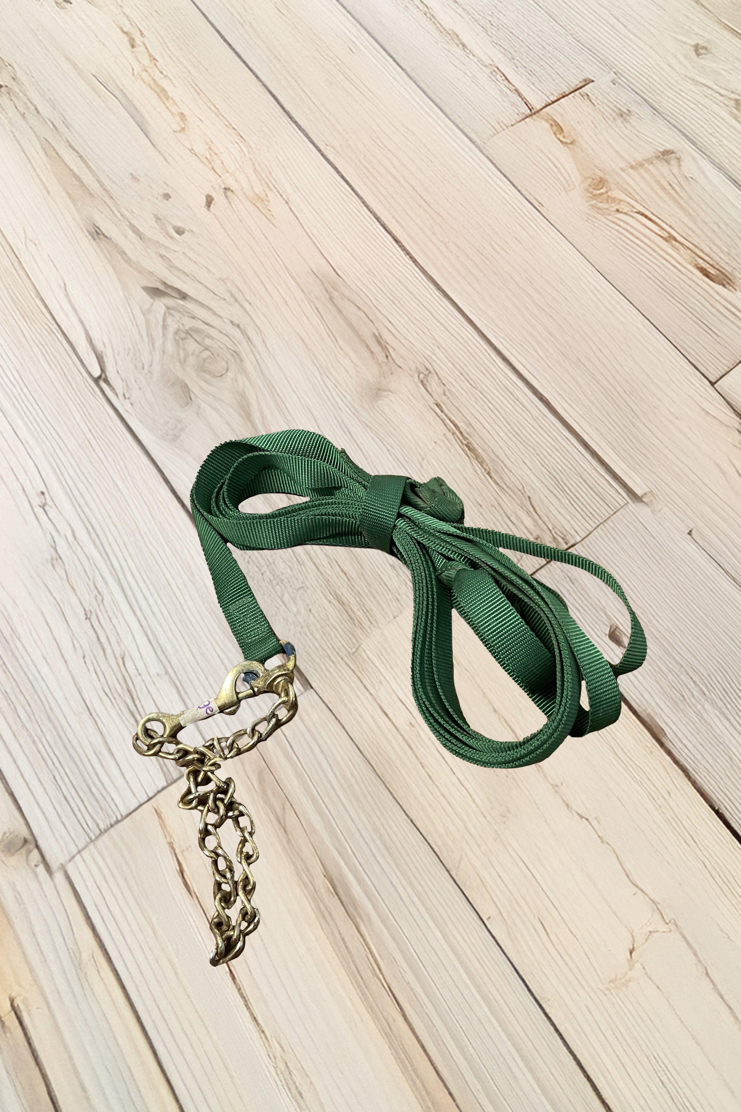 Nylon Lunge Line With Chain In Green