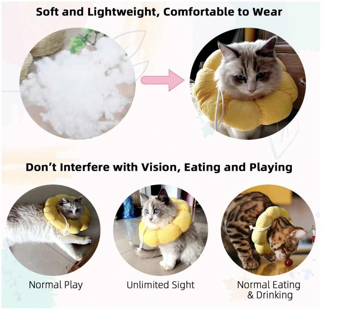 Screenshot 2026-04-02 at 7.10.53 PM.png