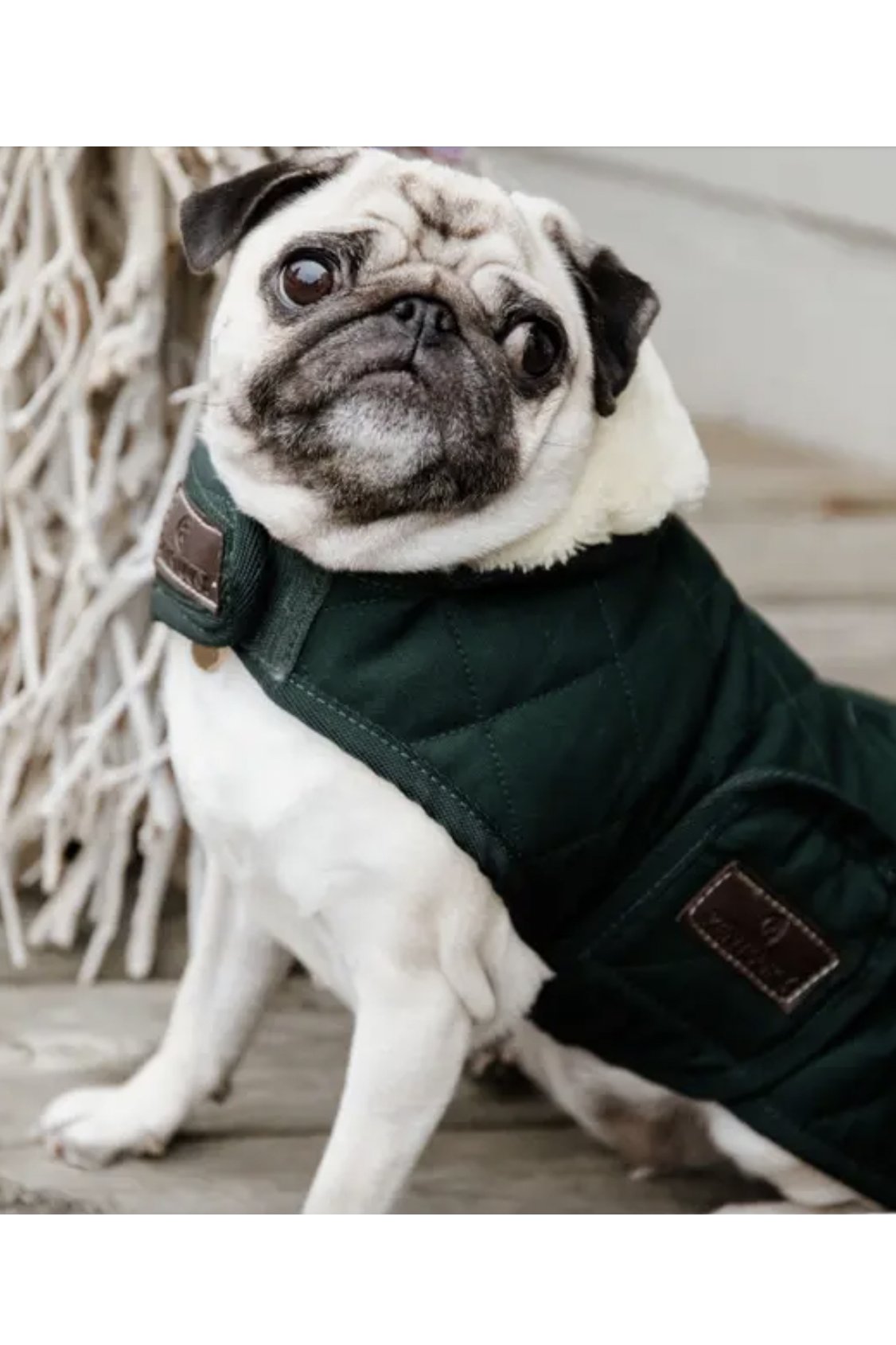 Kentucky Horsewear Dog Coat Original In Dark Green - 2nd Round Equestrian