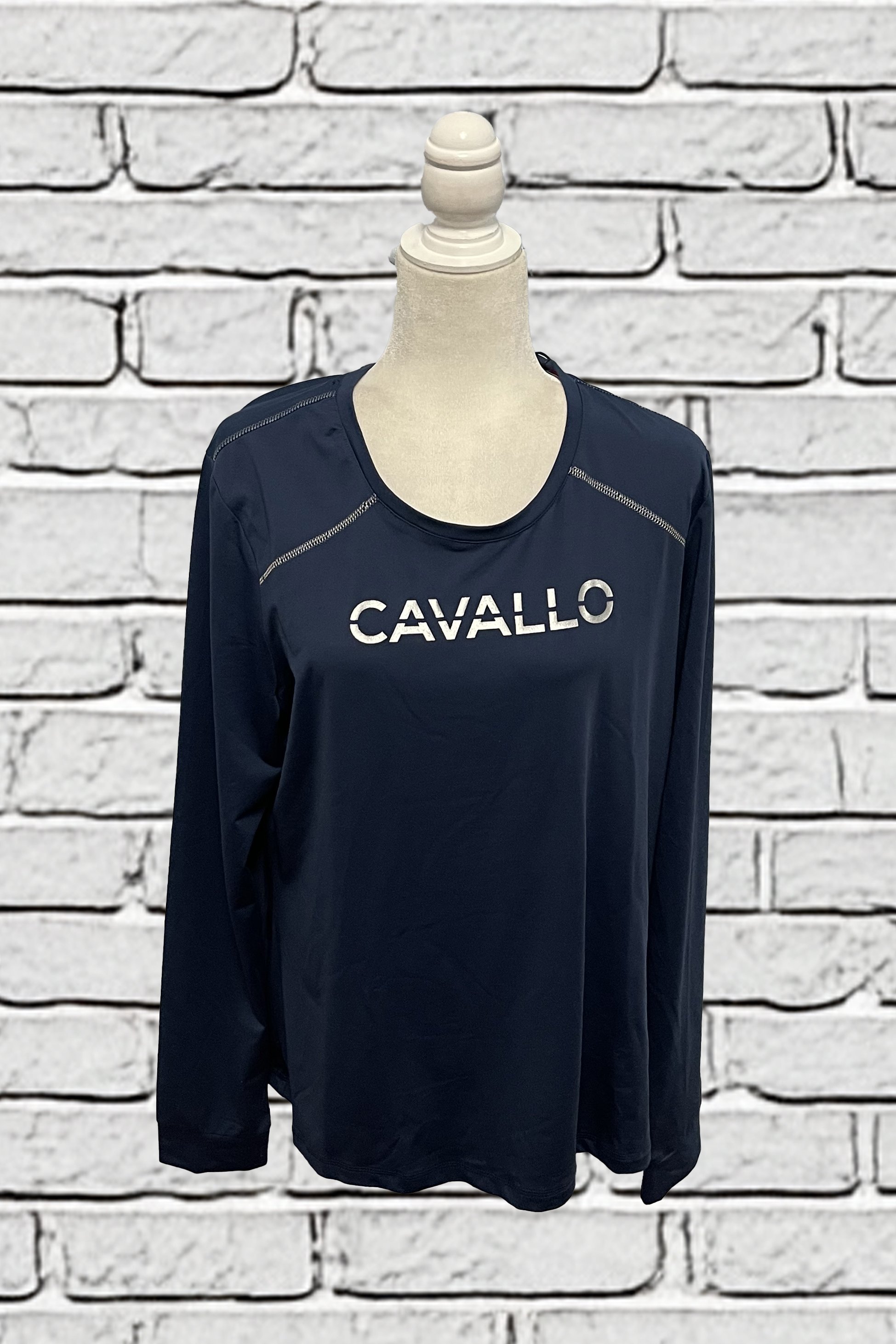 cavallo 1 .jpg