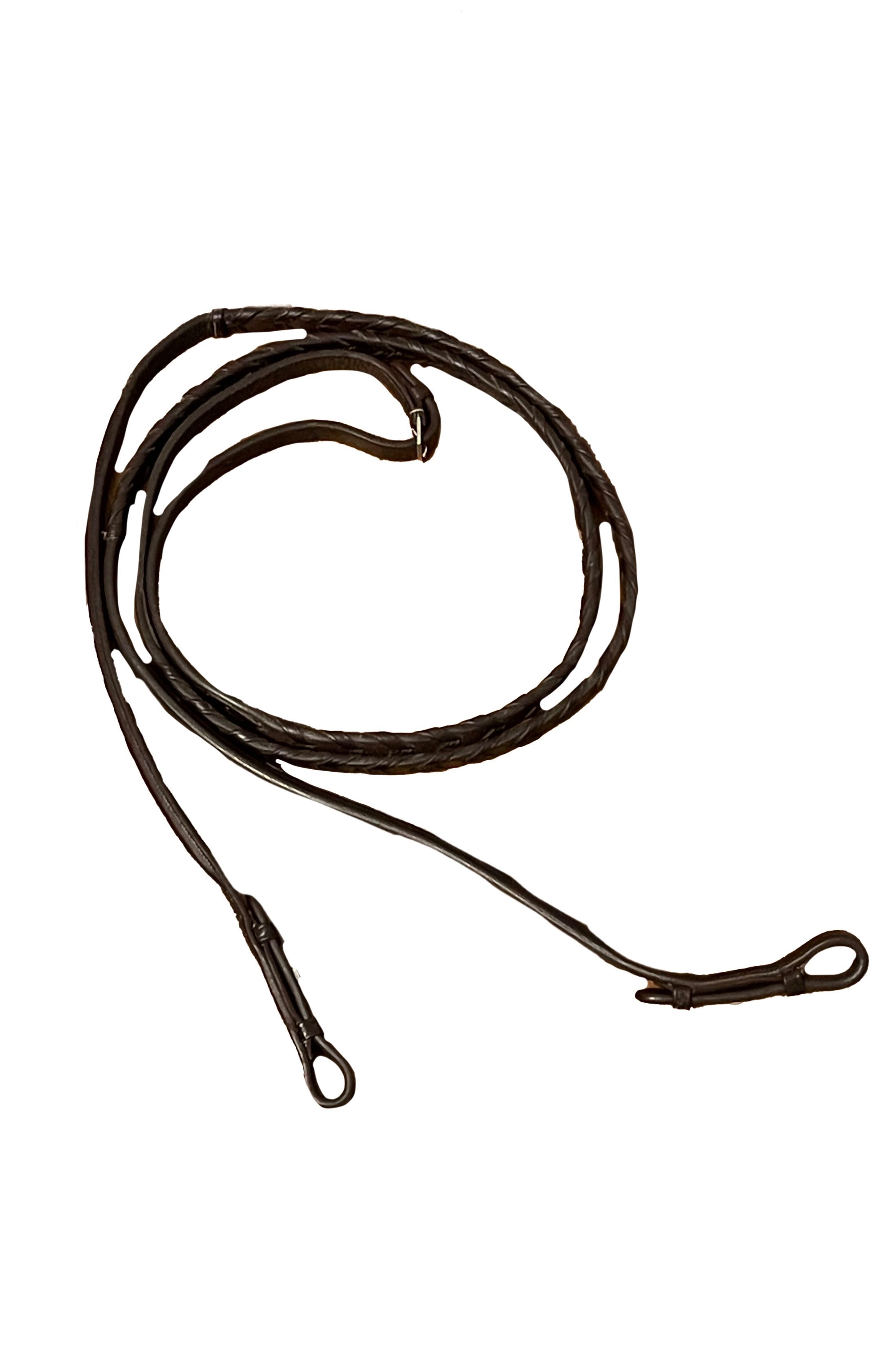 reins+2.jpg