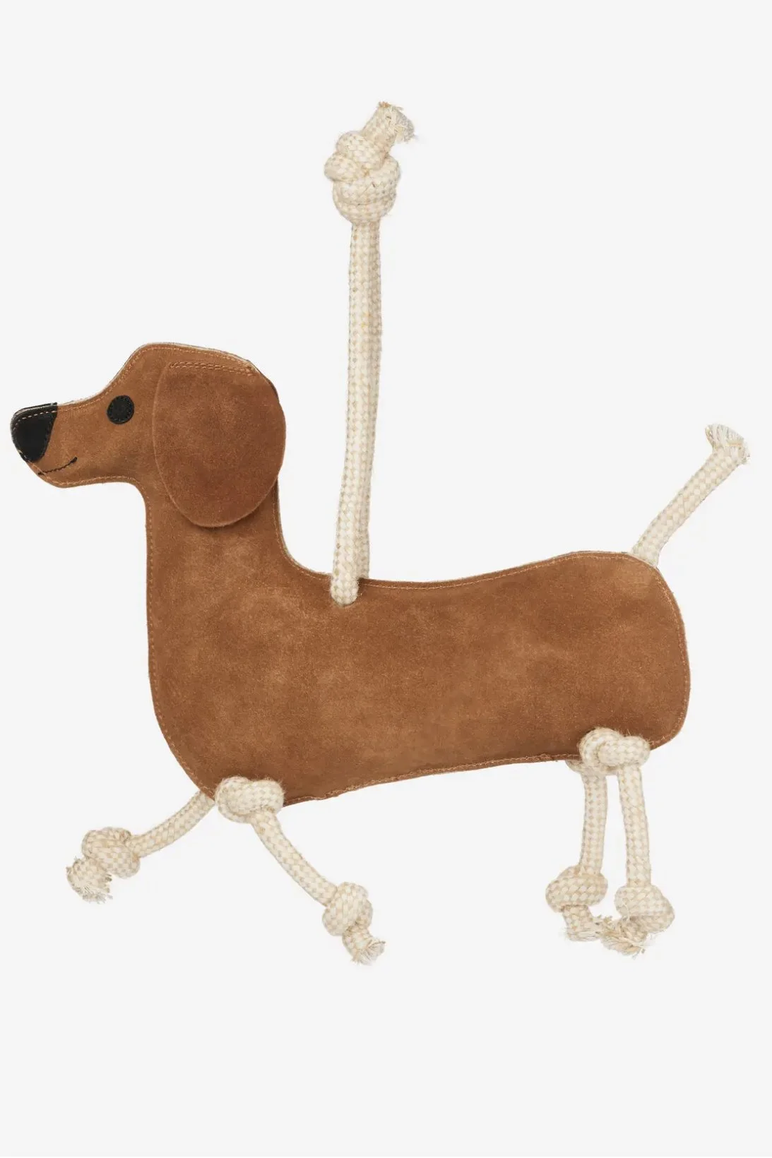dog-1.jpg