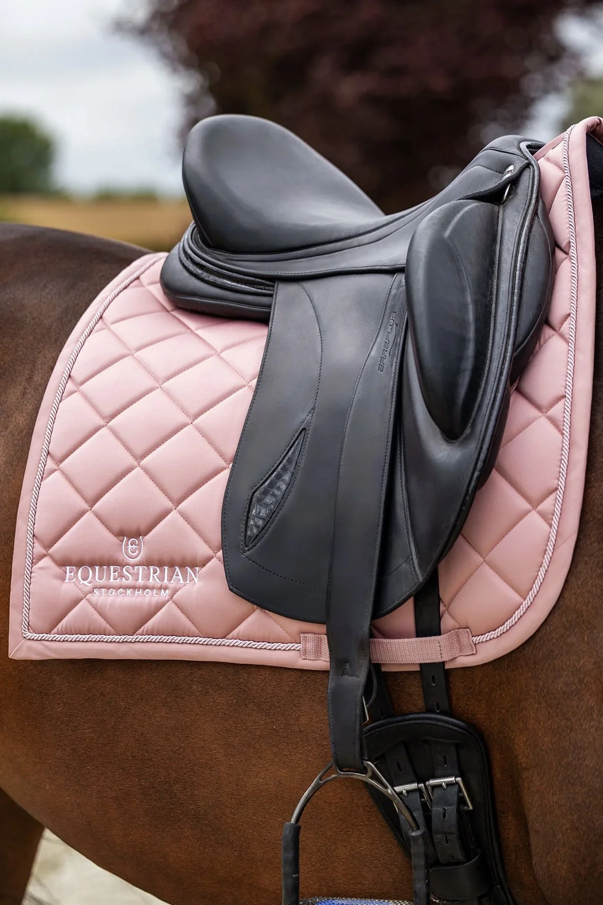 Equestrian Stockholm Dressage Saddle Pad Line In PINK