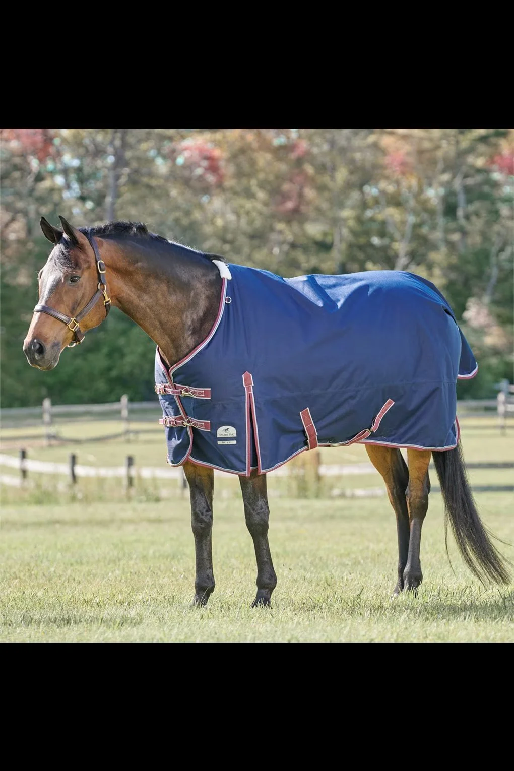 Smartpak Ultimate 220G Medium Turnout In Navy With Red Trim - 78"