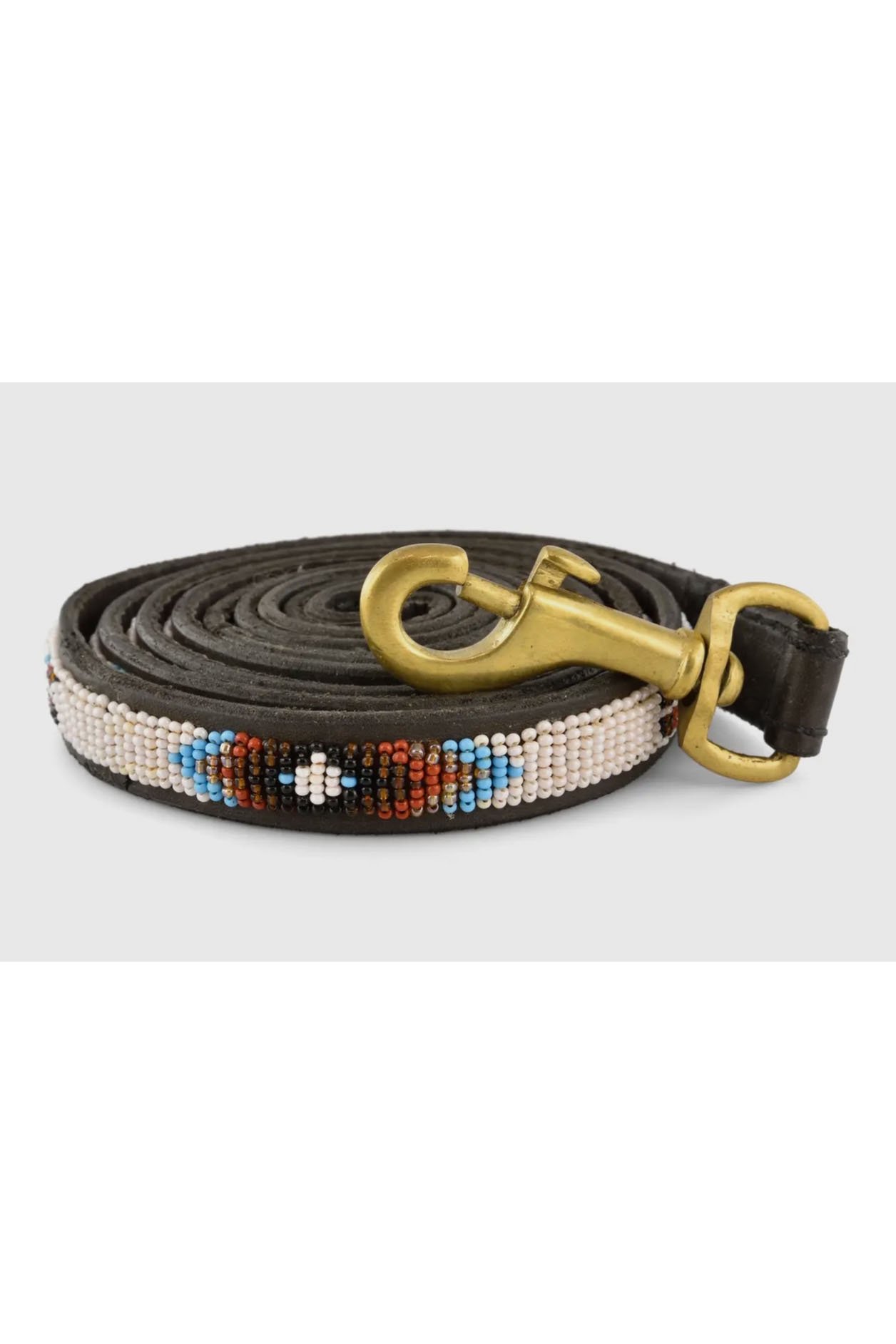leash.jpg