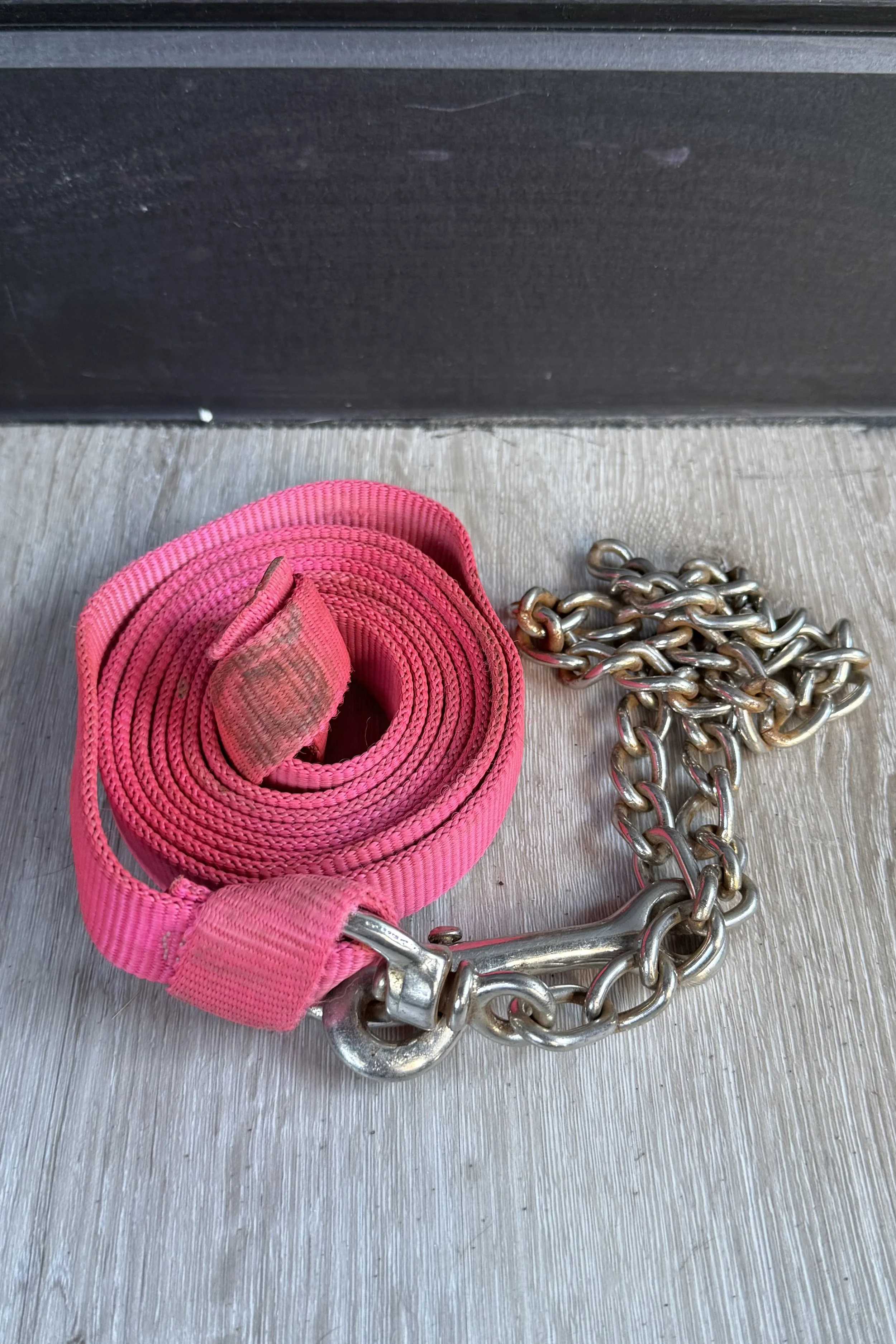 Nylon Lead With Chain In Pink