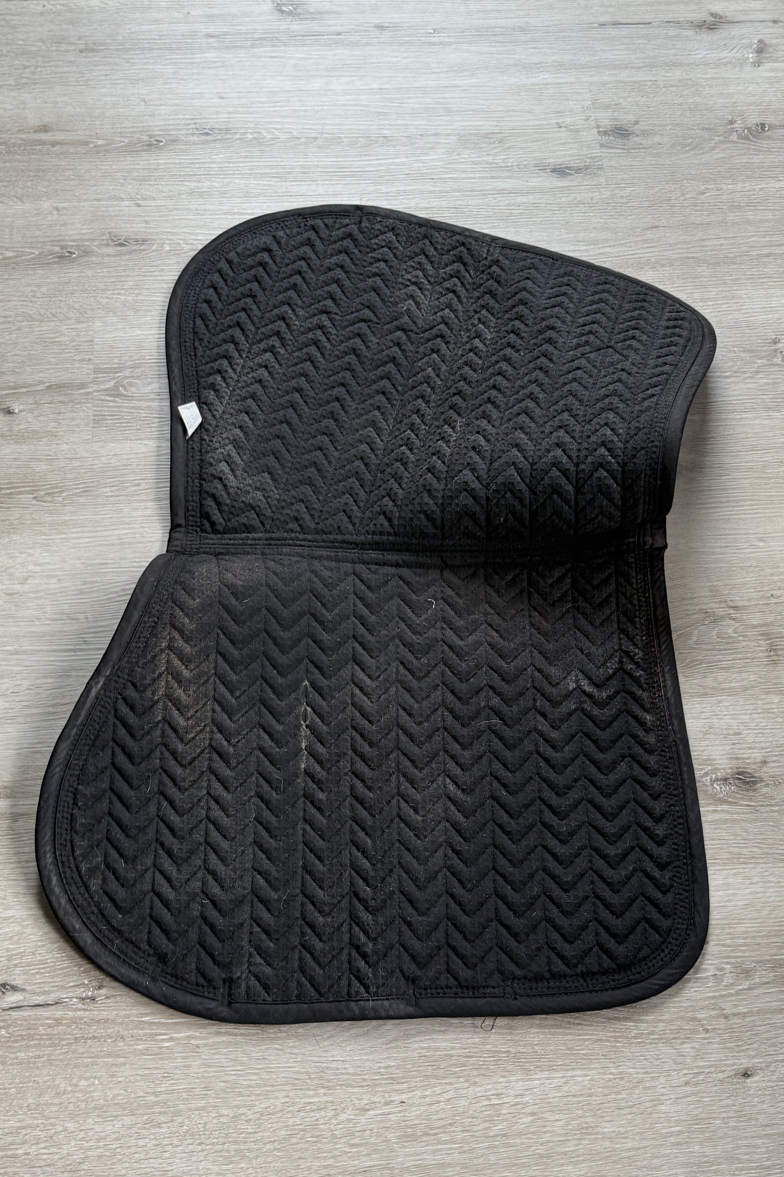 glitter stone saddle pad 2 .jpg