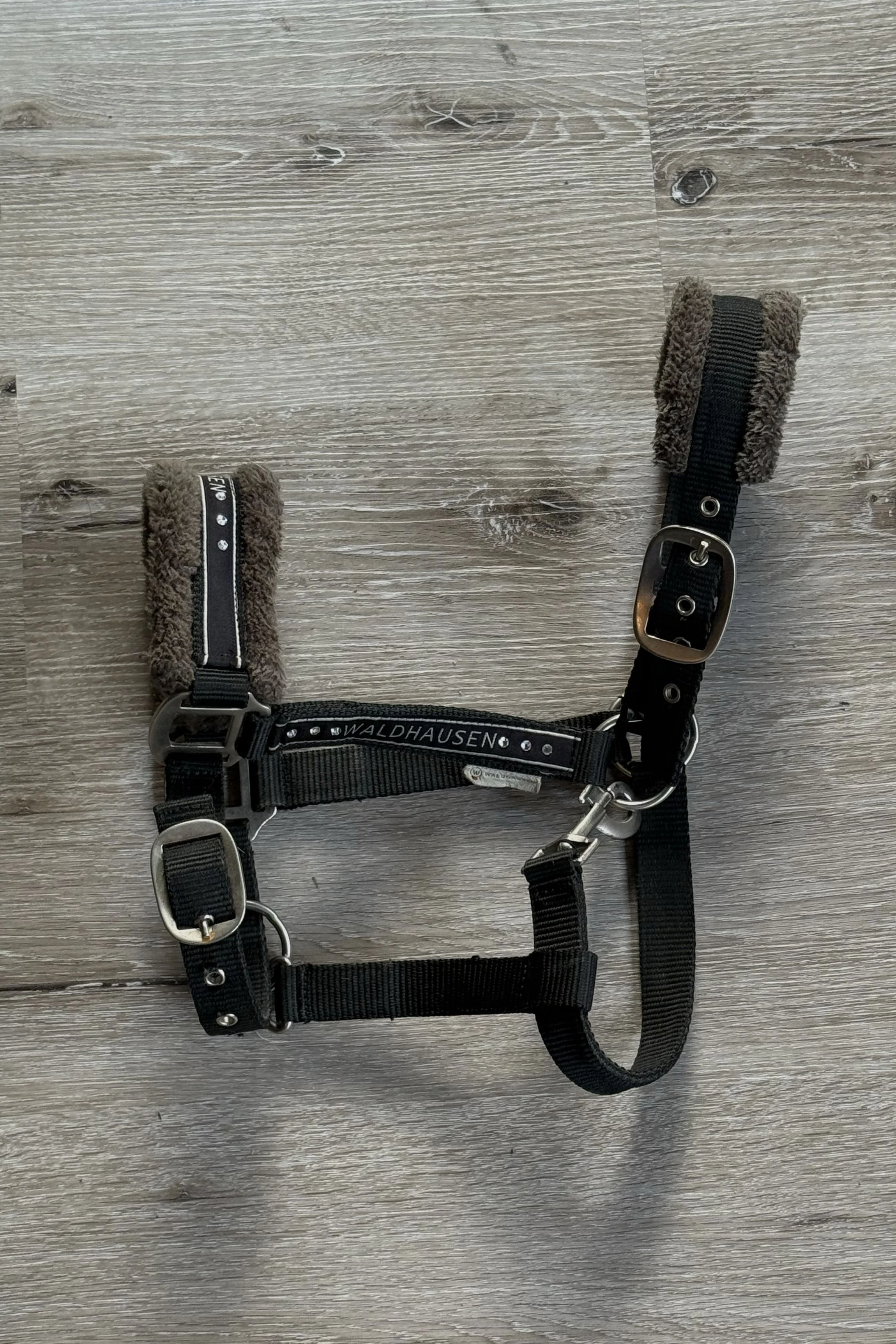 halter.jpg
