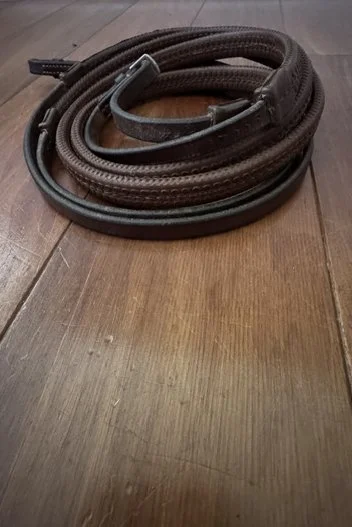 reins.jpg