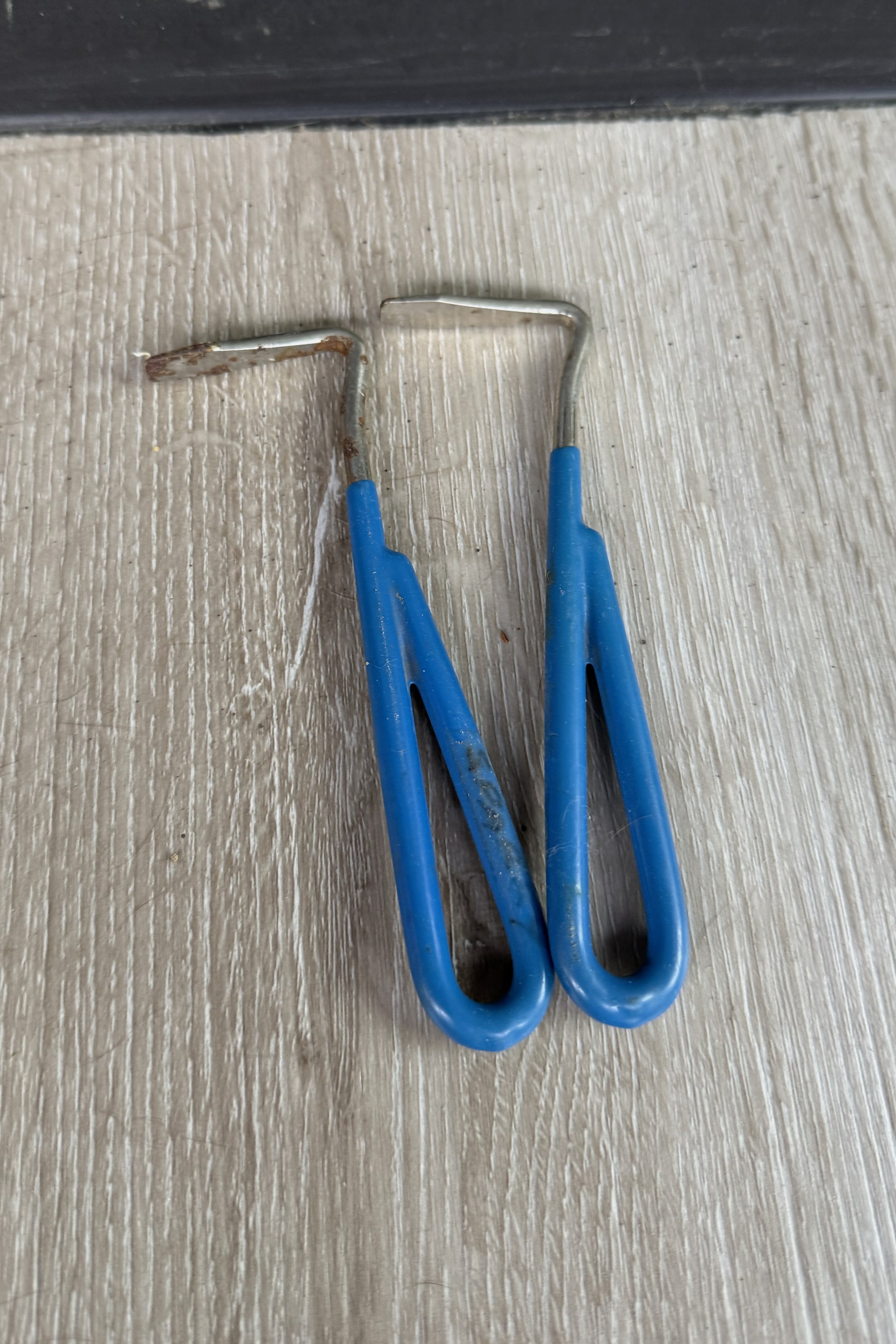 hoof pick.jpg