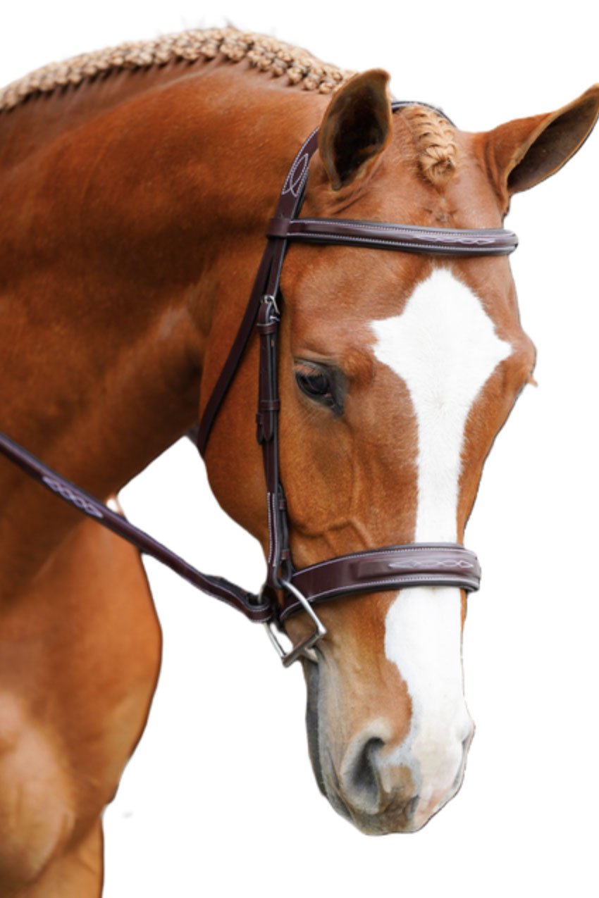 KL Select Black Oak Tupelo Hunter Bridle with Laced Reins - 2nd Round Equestrian