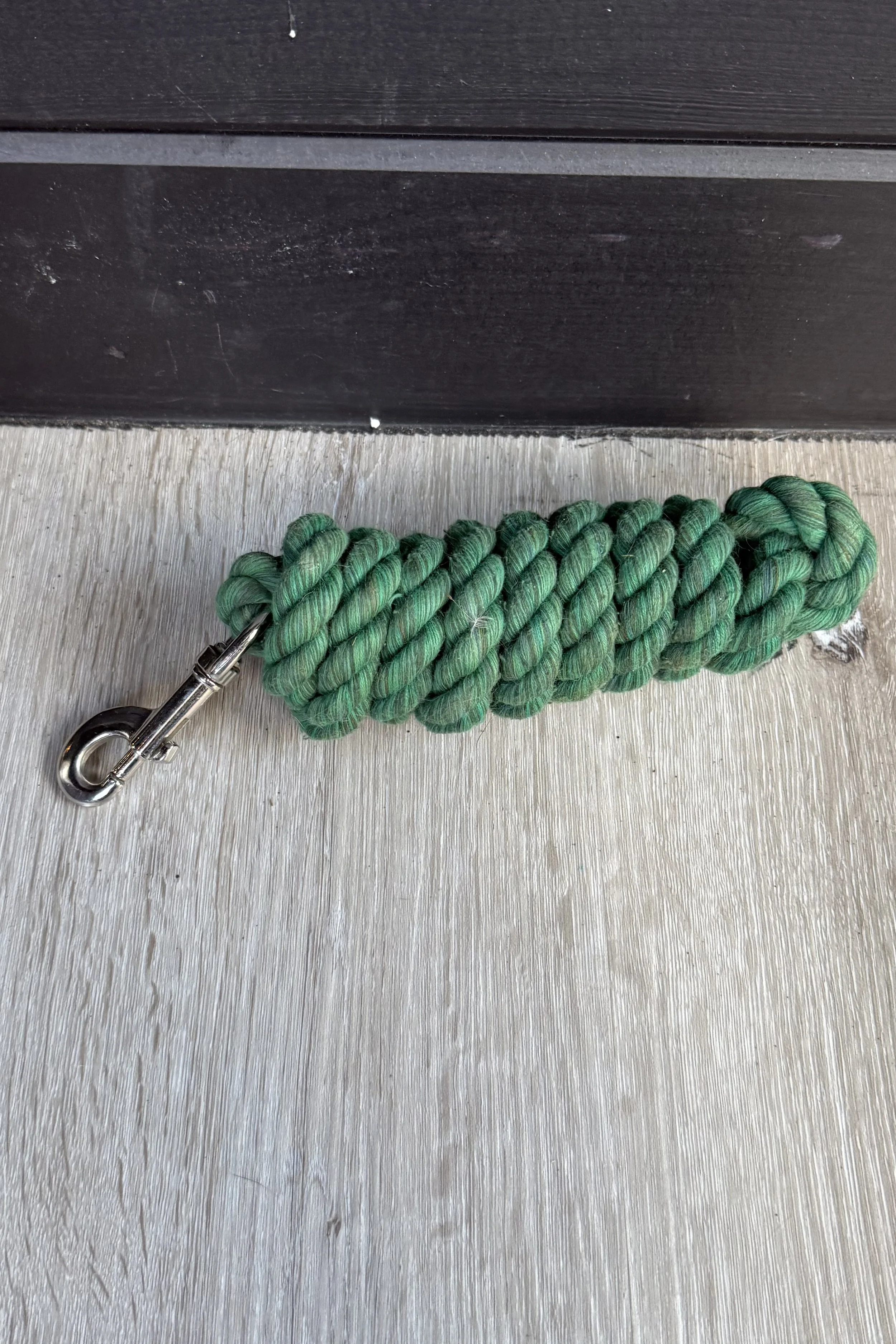 Small Cotton Lead With Snap In Green