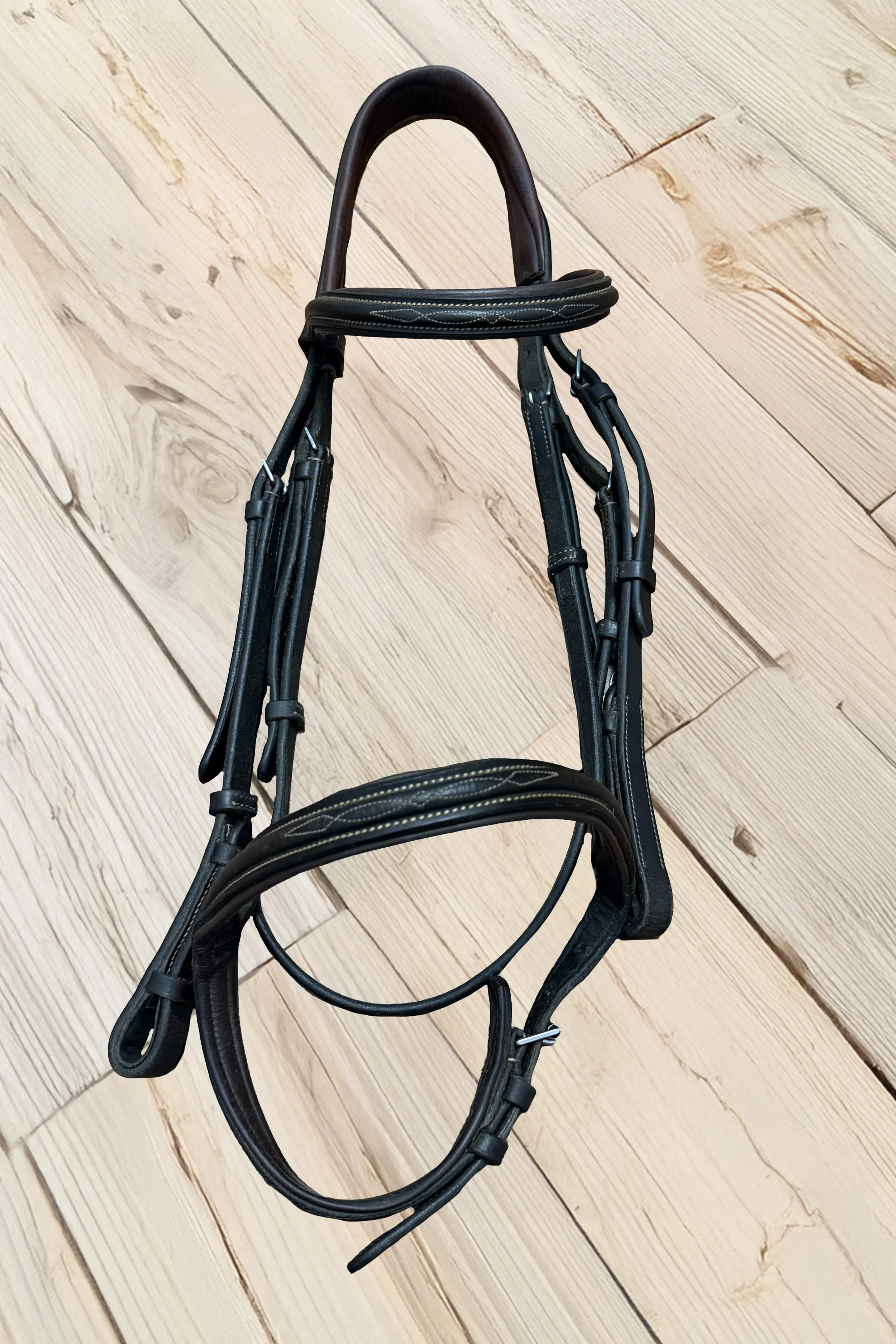 Bridle .jpg
