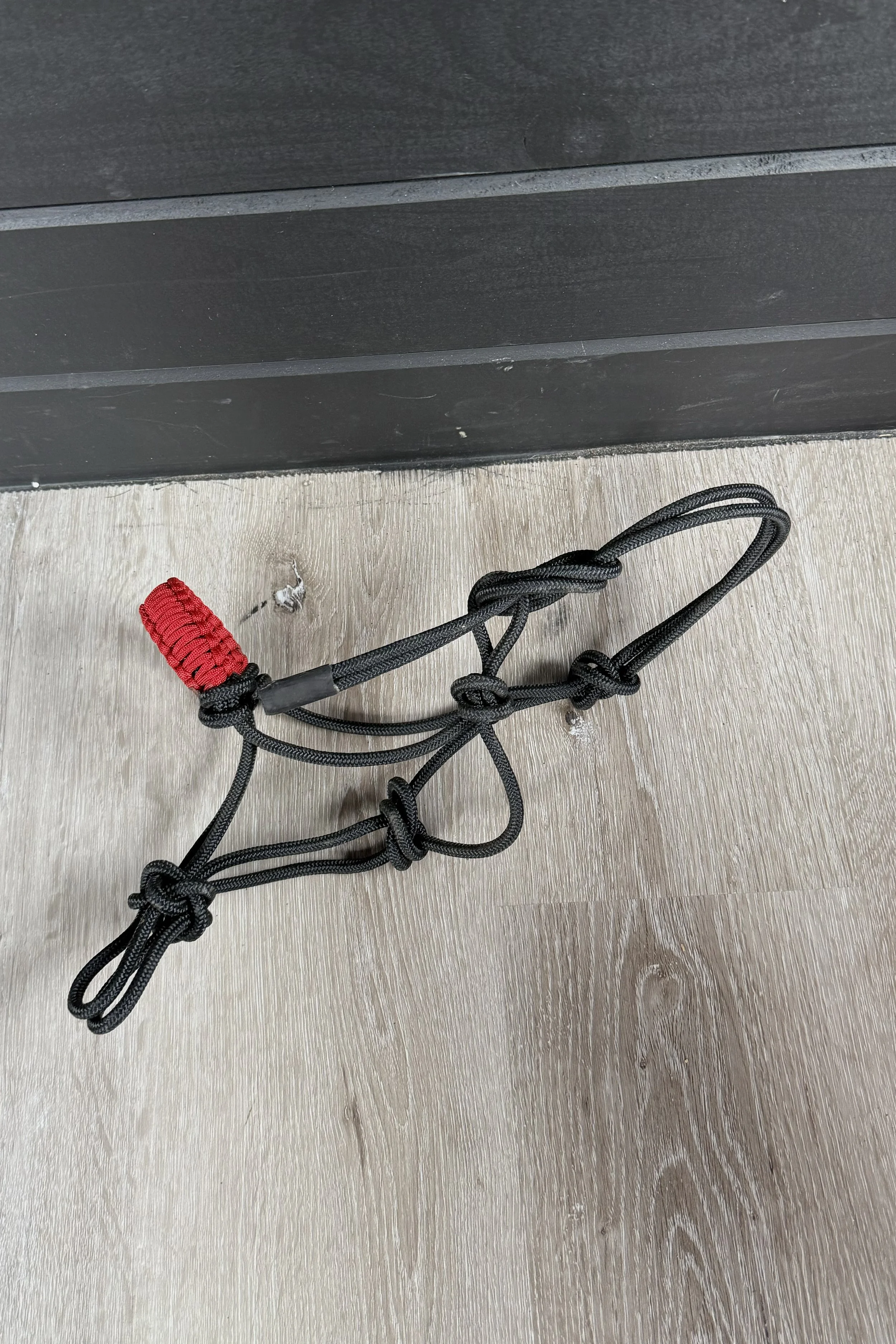 Rope Halter In Black With Red Braided Noseband - Mini/Pony