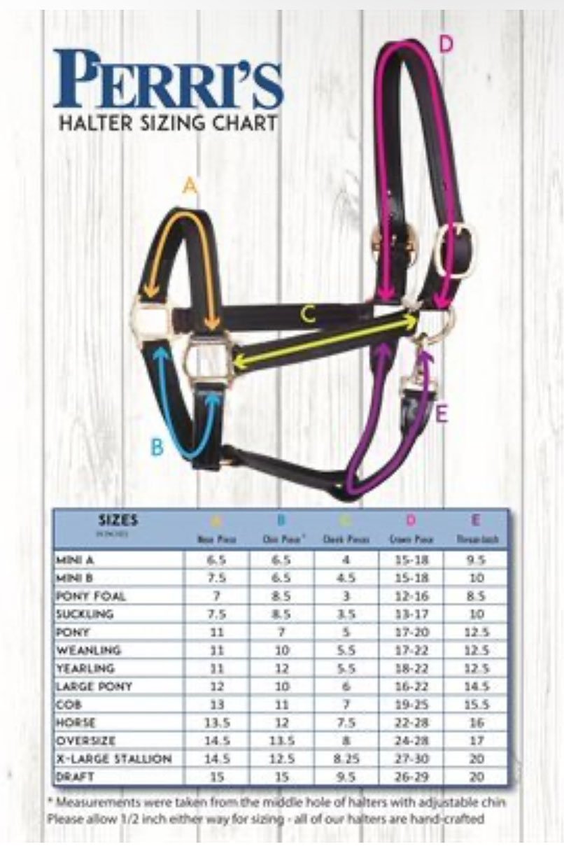 Perri's 1" Track Halter With Snap In Havana - Horse - 2nd Round Equestrian