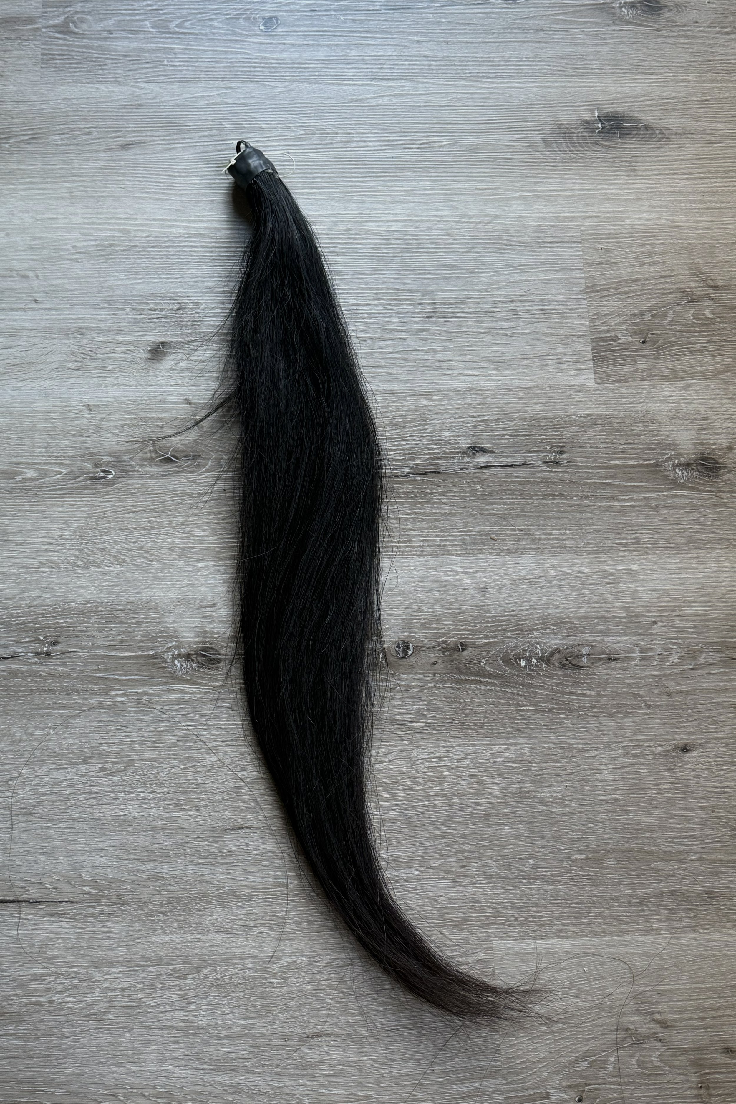 tail.jpg