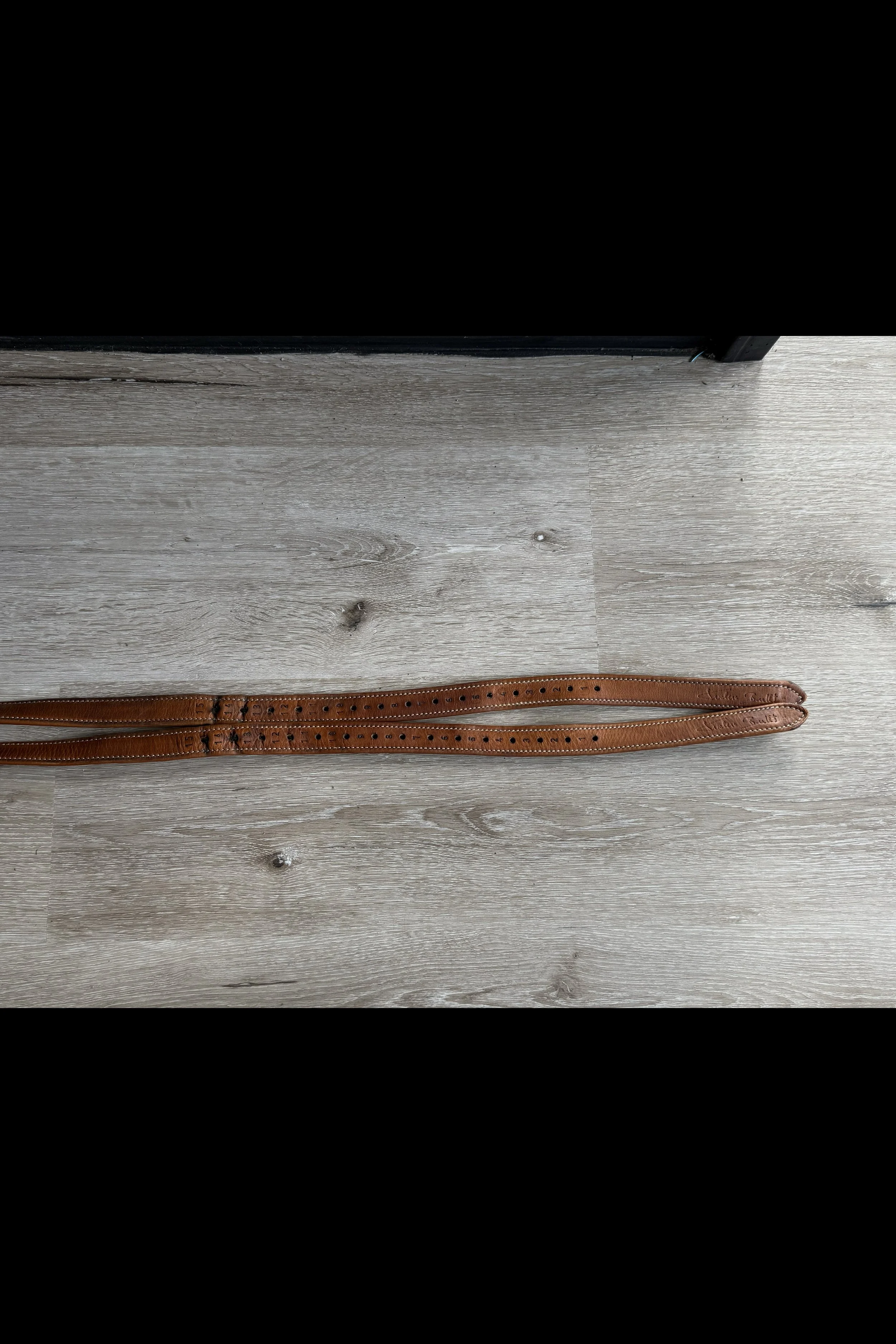 Leathers 2 .jpg