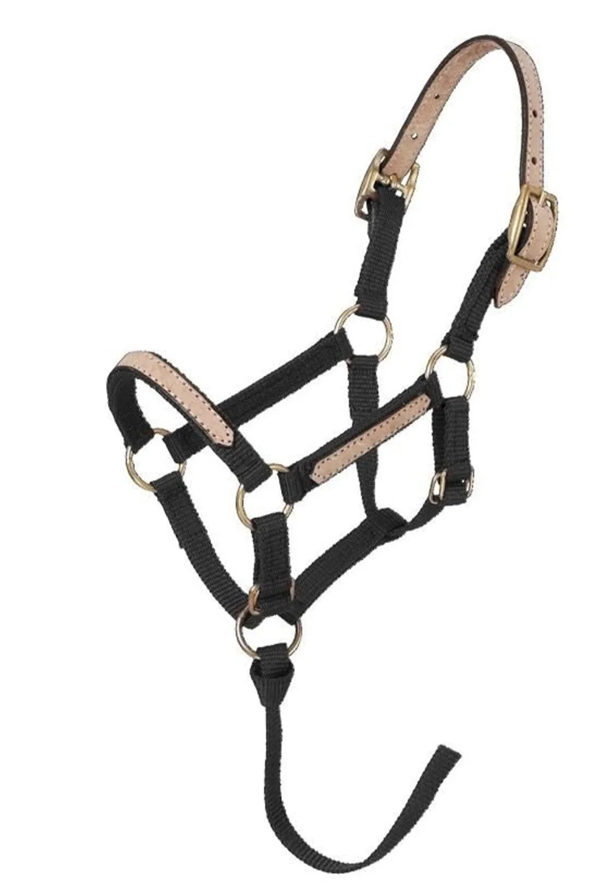 Tough1 Miniature Breakaway Halter In Black - Medium