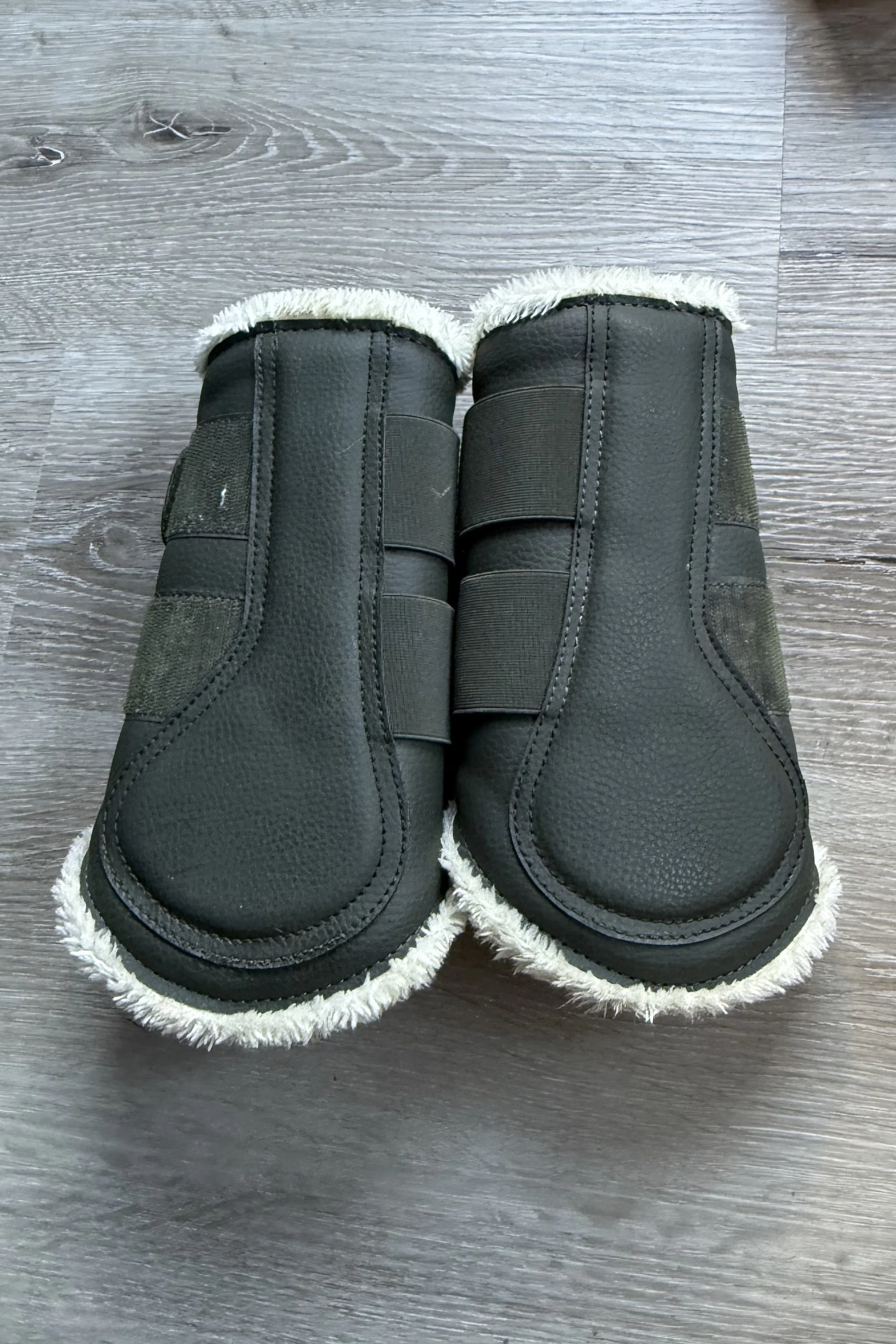 olive-4.jpg