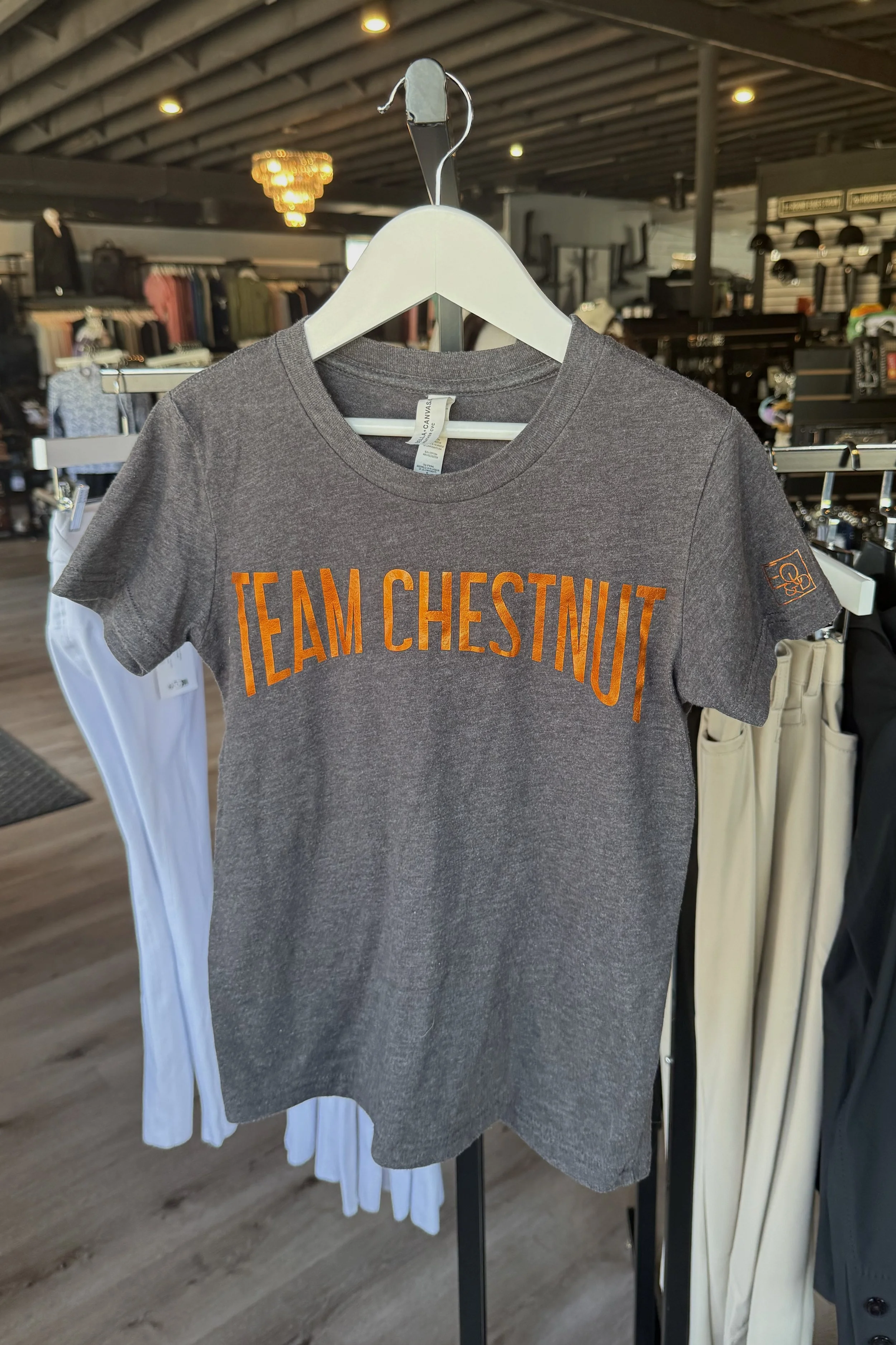 Bella+Canvas "Team Chestnut" Graphic Tee In Grey - Kids Small