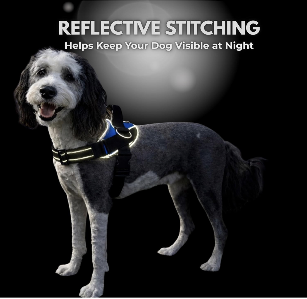 Screenshot 2026-04-01 at 9.03.14 PM.png (Copy)