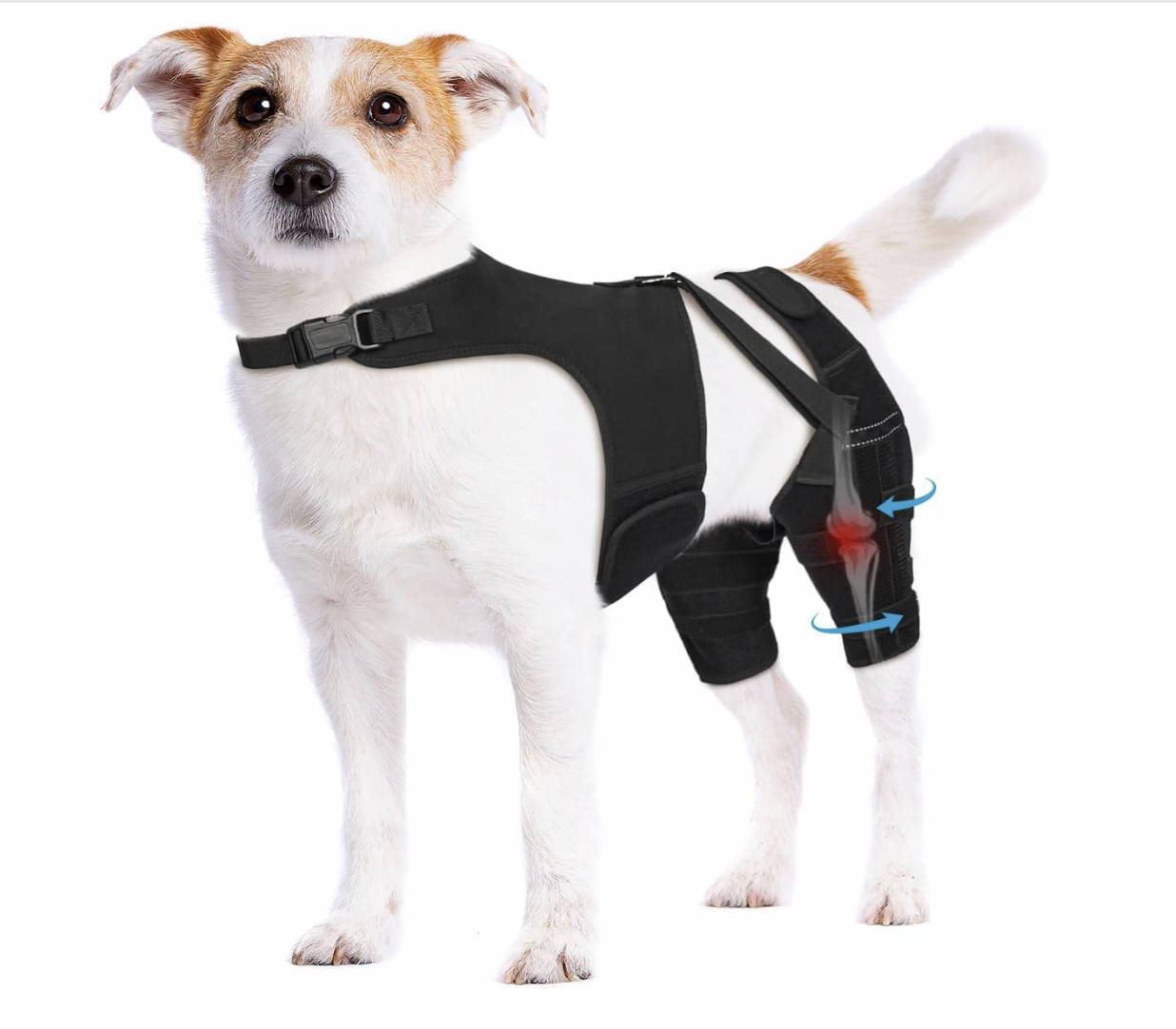 Screenshot 2026-04-02 at 7.26.54 PM.png