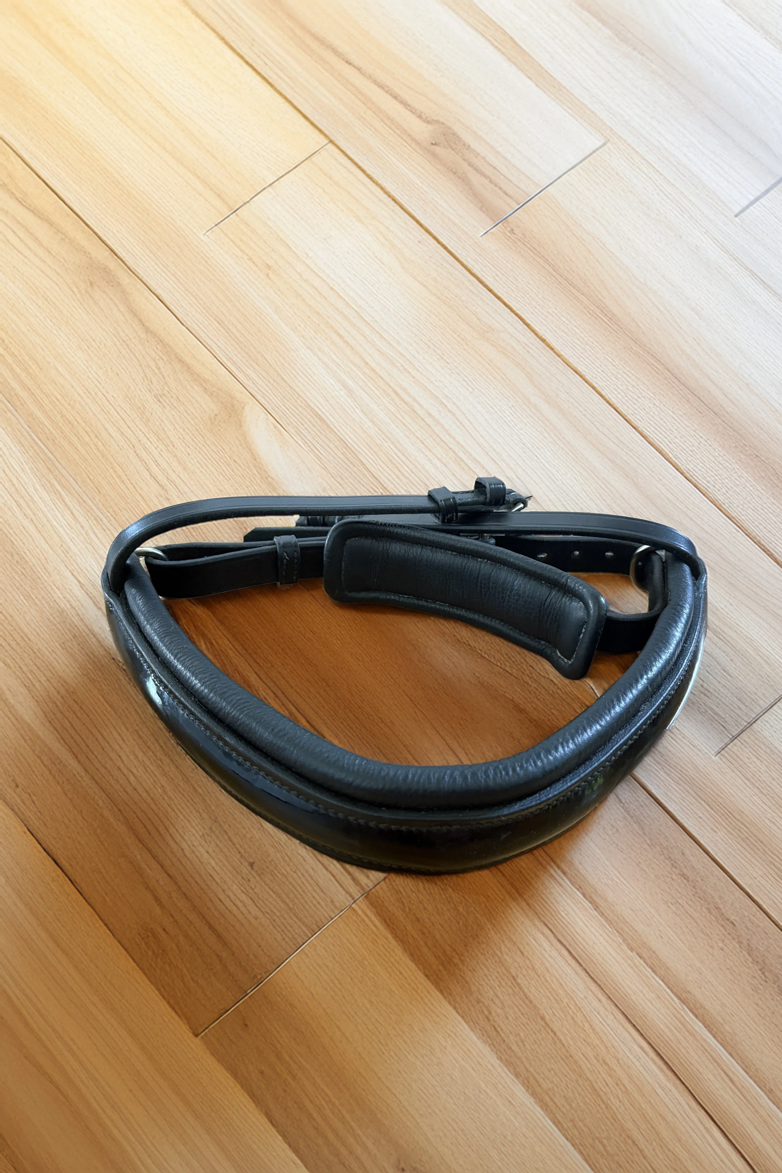 Crank Noseband 2 .jpg