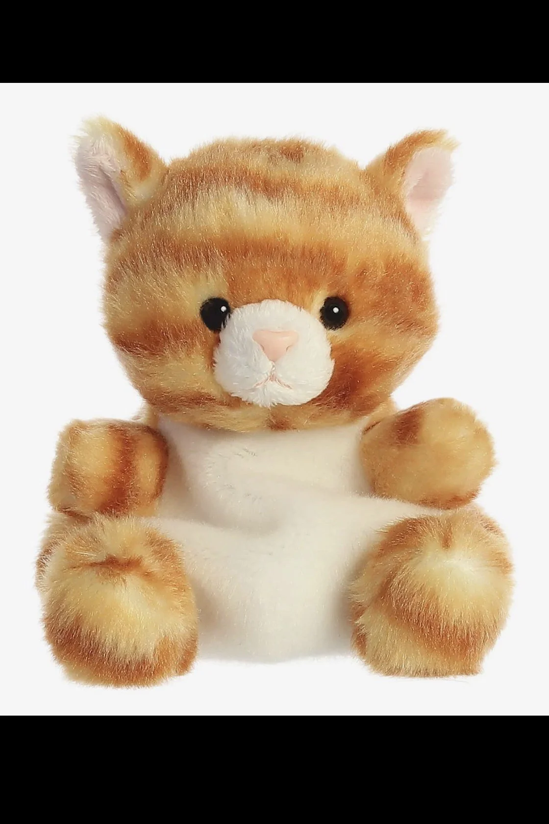 cat.jpg