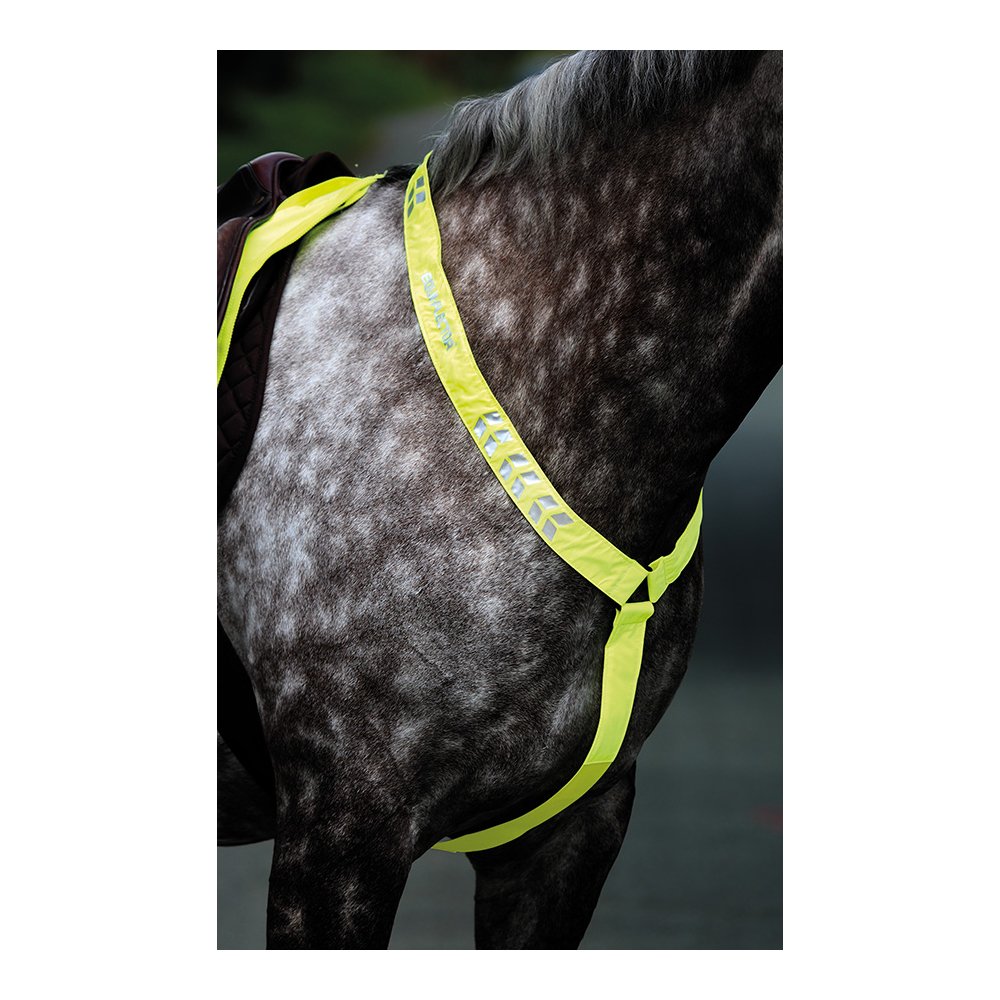 shires-equi-flector-breastplate-yellow-p4430-4418_image copy.jpg