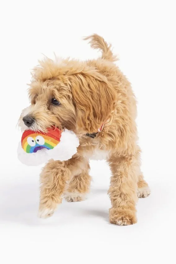 Huxley & Kent Tiny Tuff Happy Rainbow