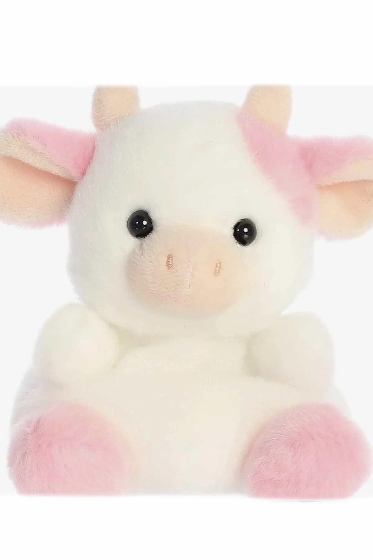 cow.jpg