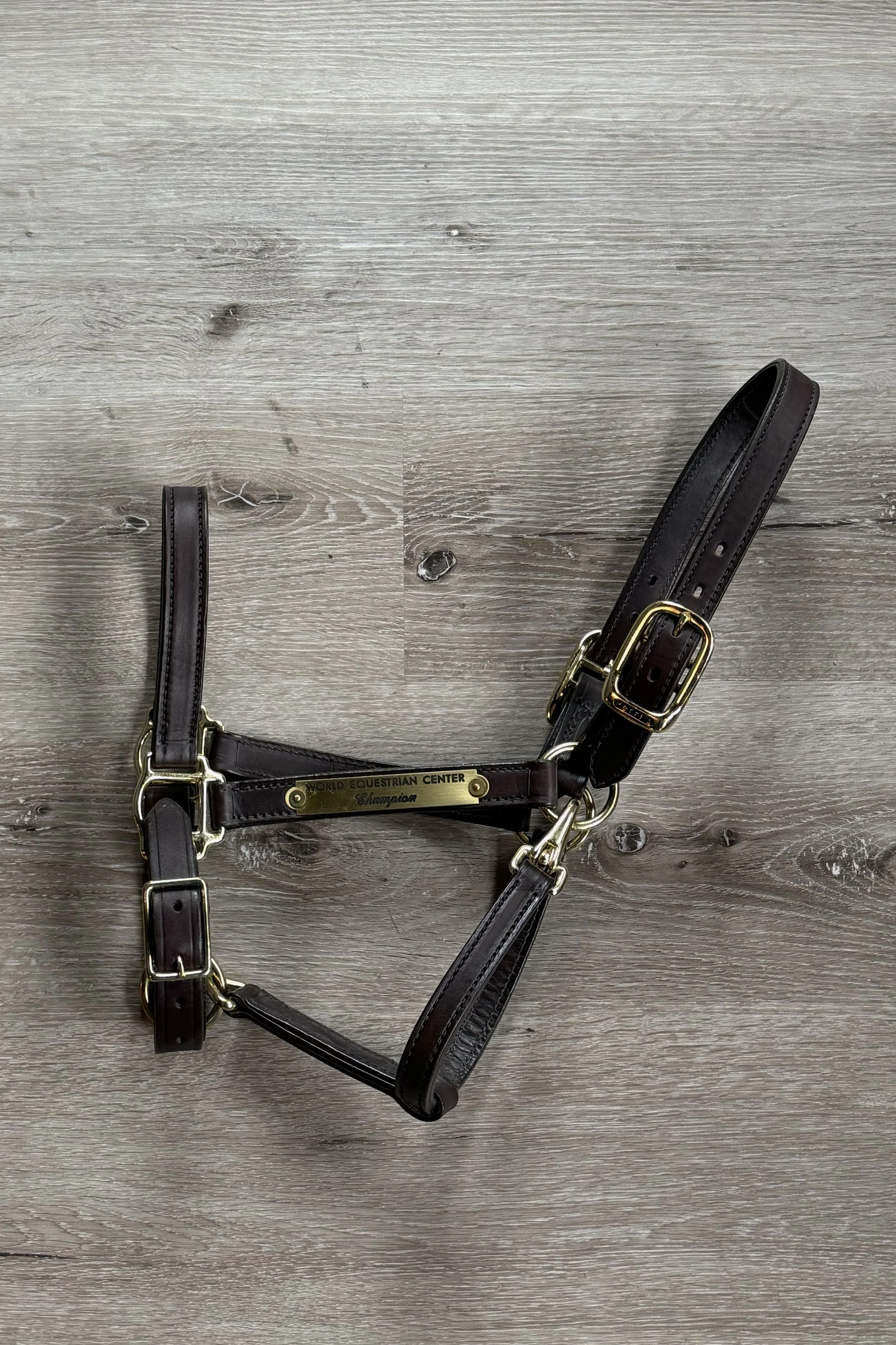 halter.jpg