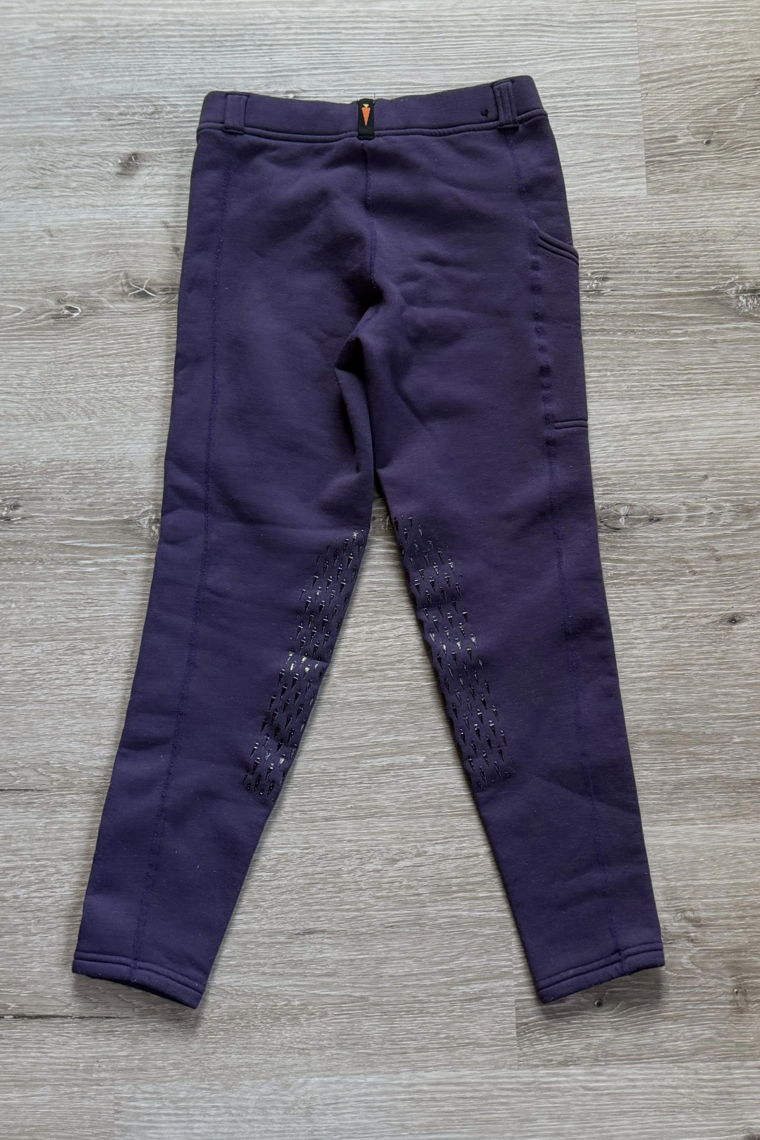 Purple Kerrits 1.jpg