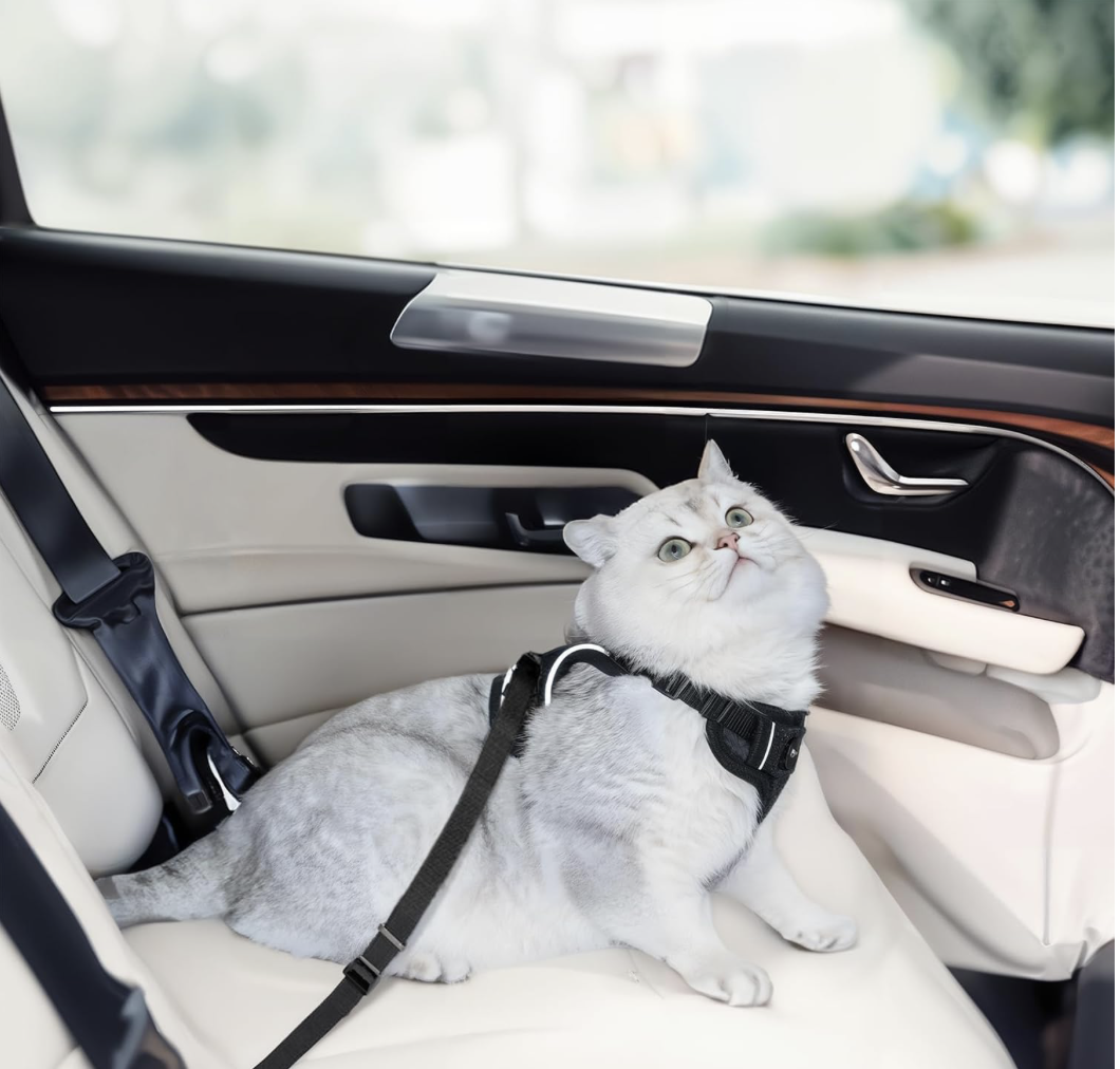 Screenshot 2026-04-02 at 7.41.34 PM.png