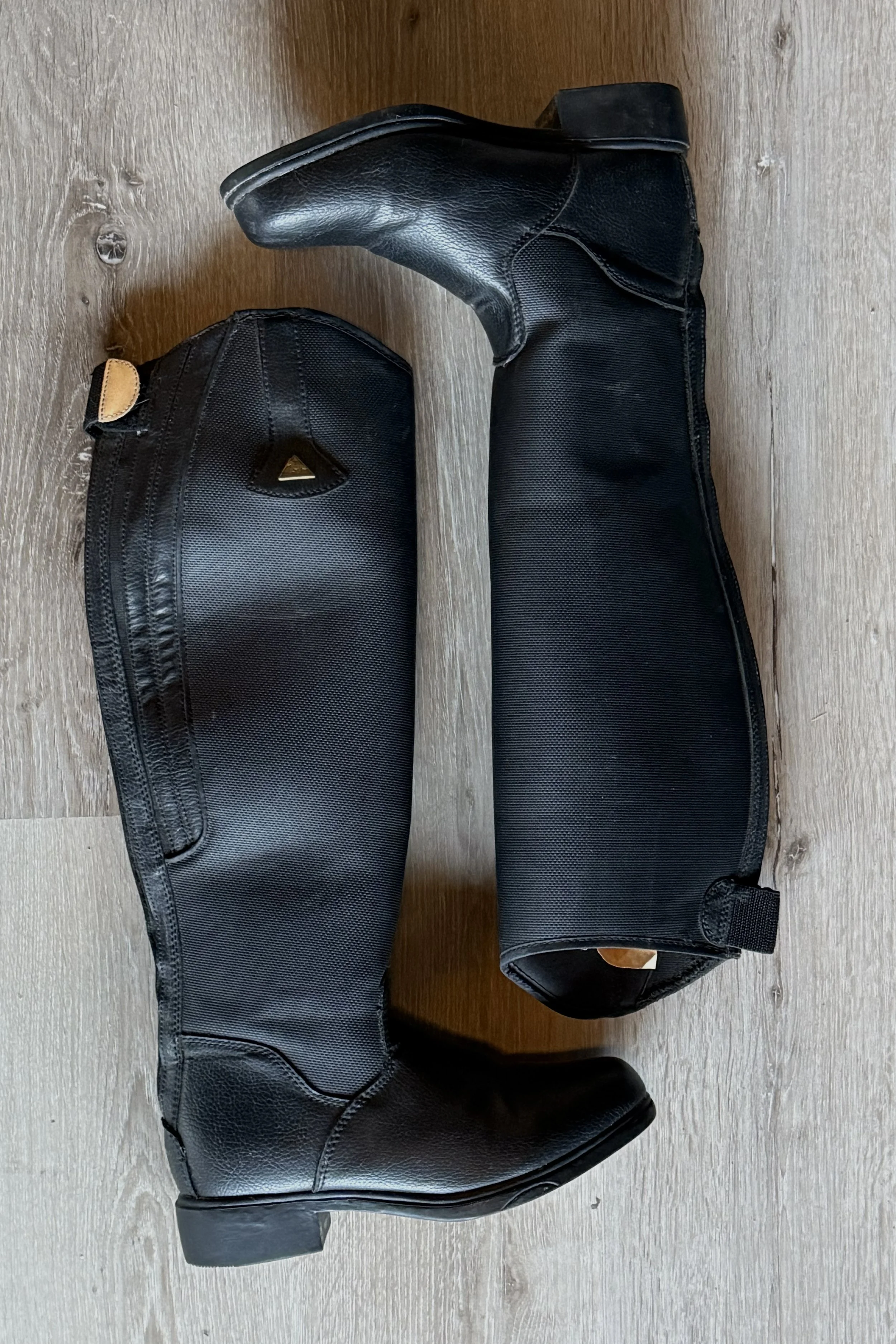 mountain horse 1.jpg