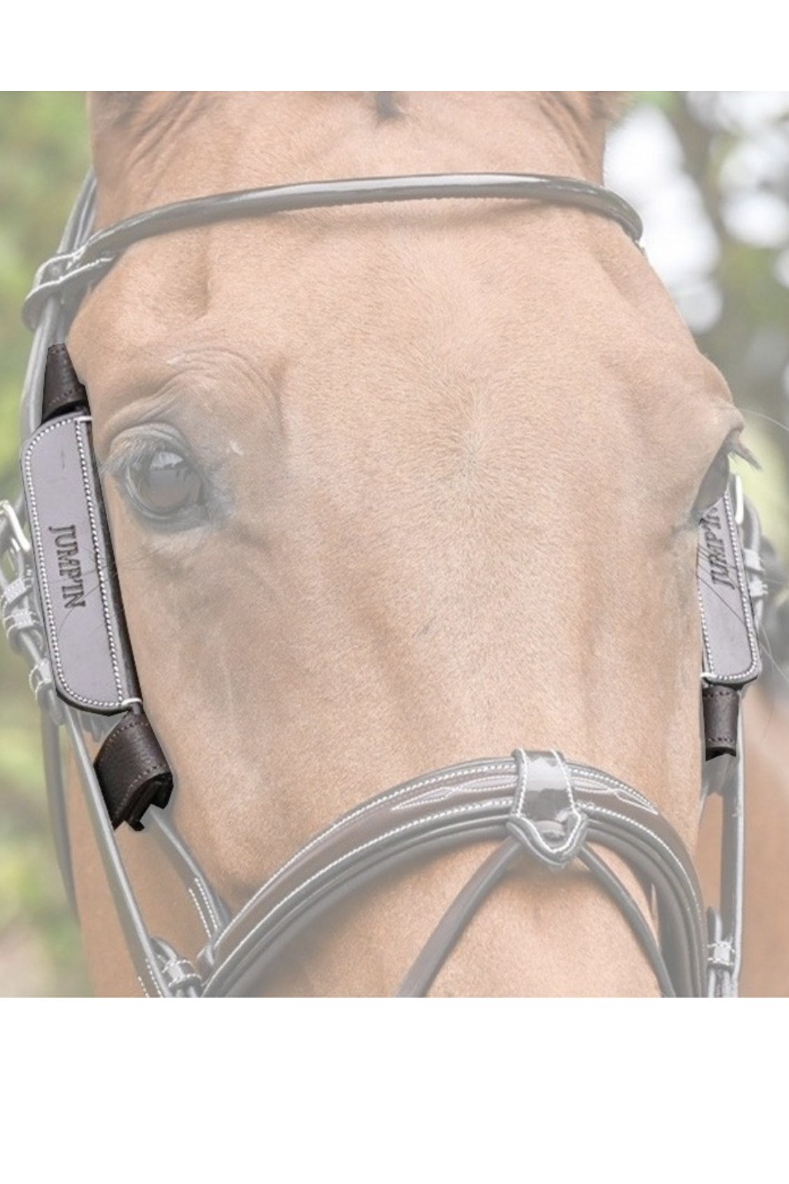JUMP'IN Removable Blinders/Blinkers In Havana