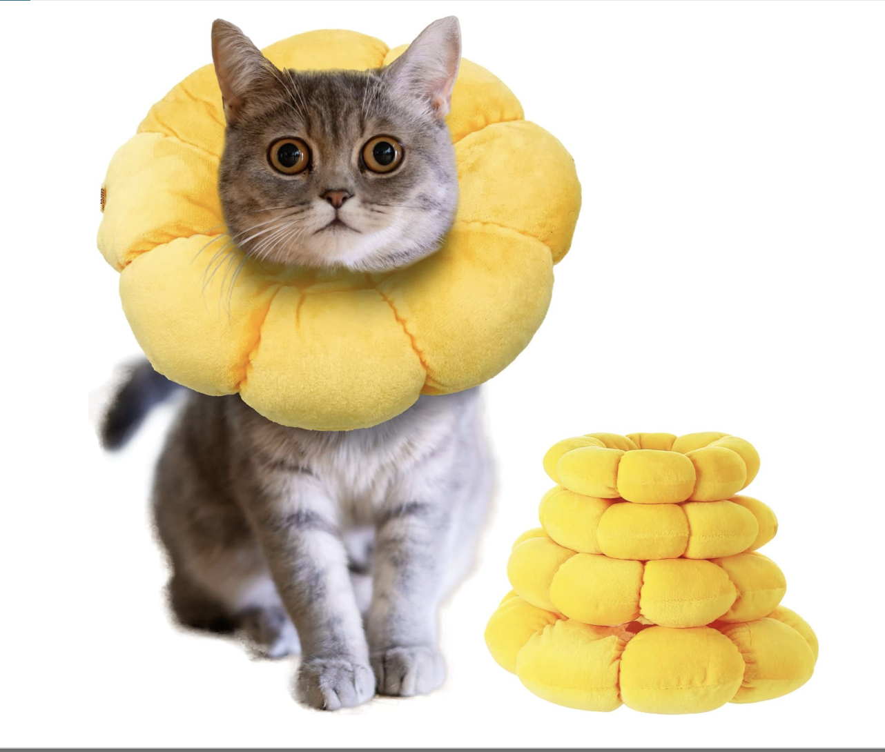 Screenshot 2026-04-02 at 7.09.32 PM.png