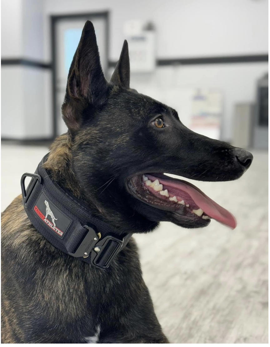 Screenshot 2026-04-02 at 8.14.08 PM.png