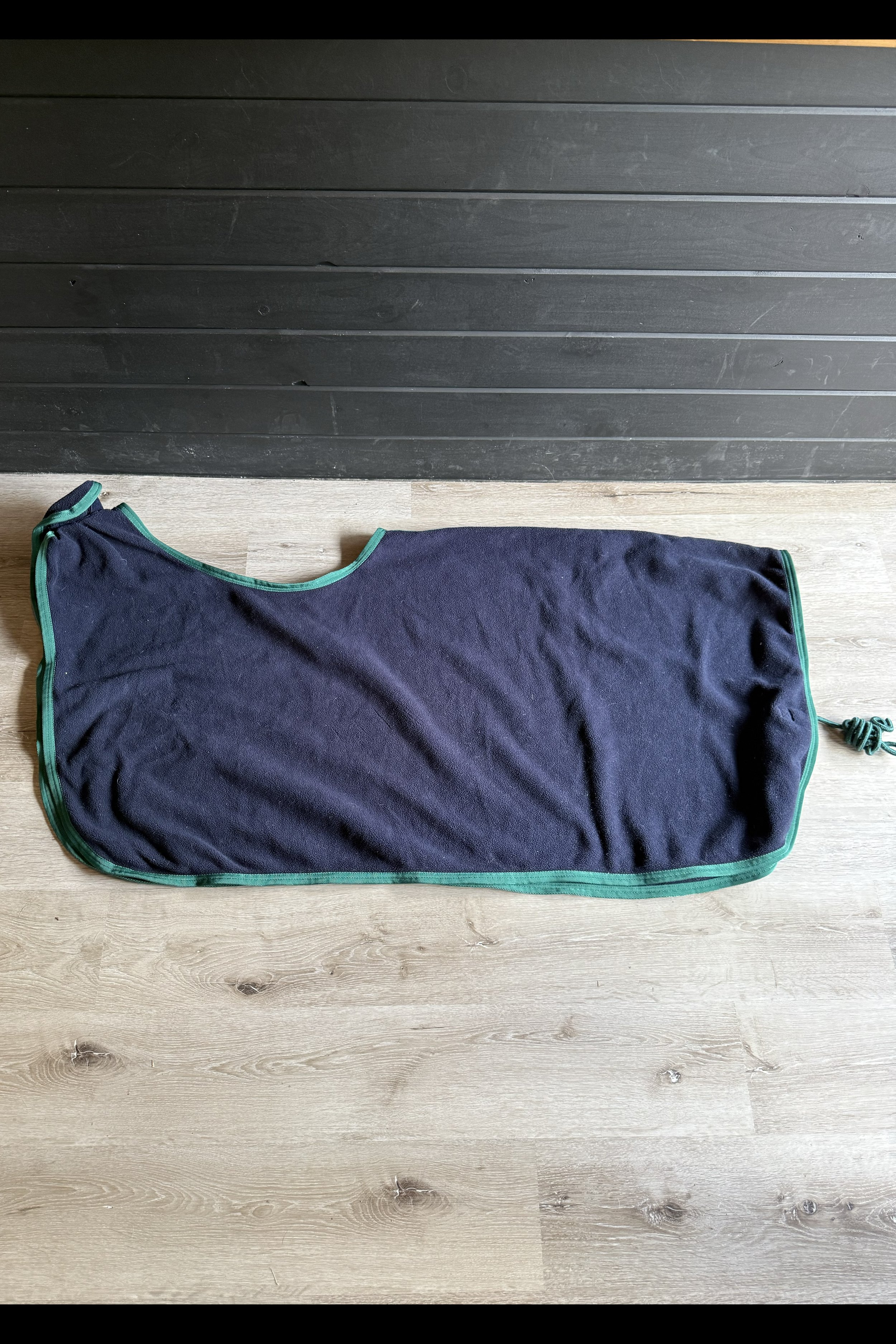 quarter sheet blue.jpg