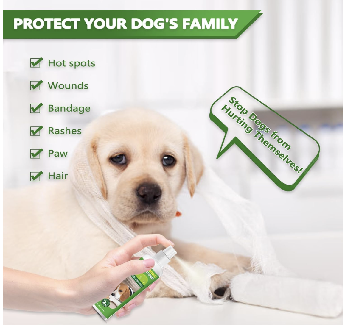 Screenshot 2026-04-01 at 9.38.45 PM.png