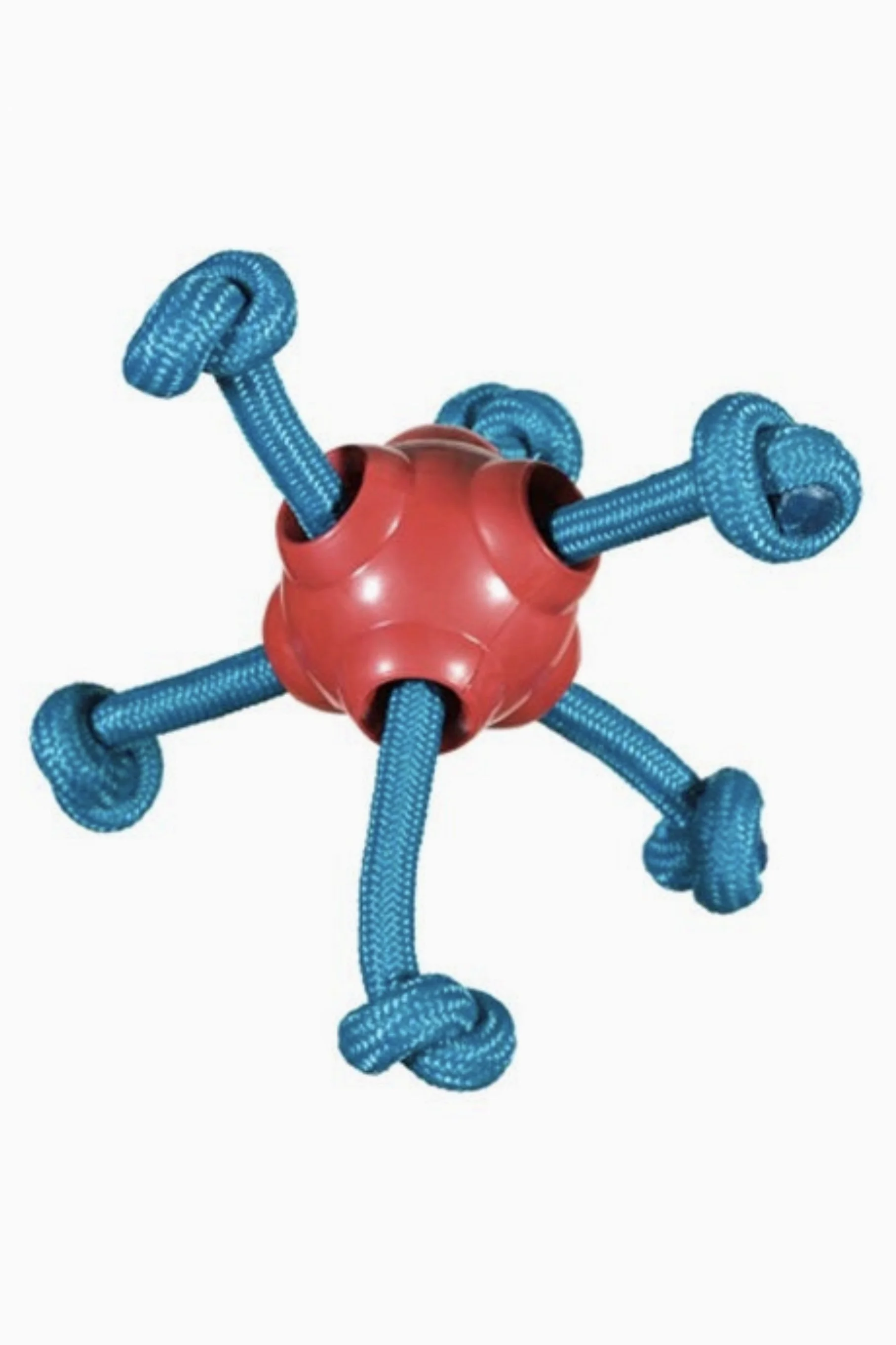 Chase 'n Chomp Cosmo Rubber Toy Dog Toy