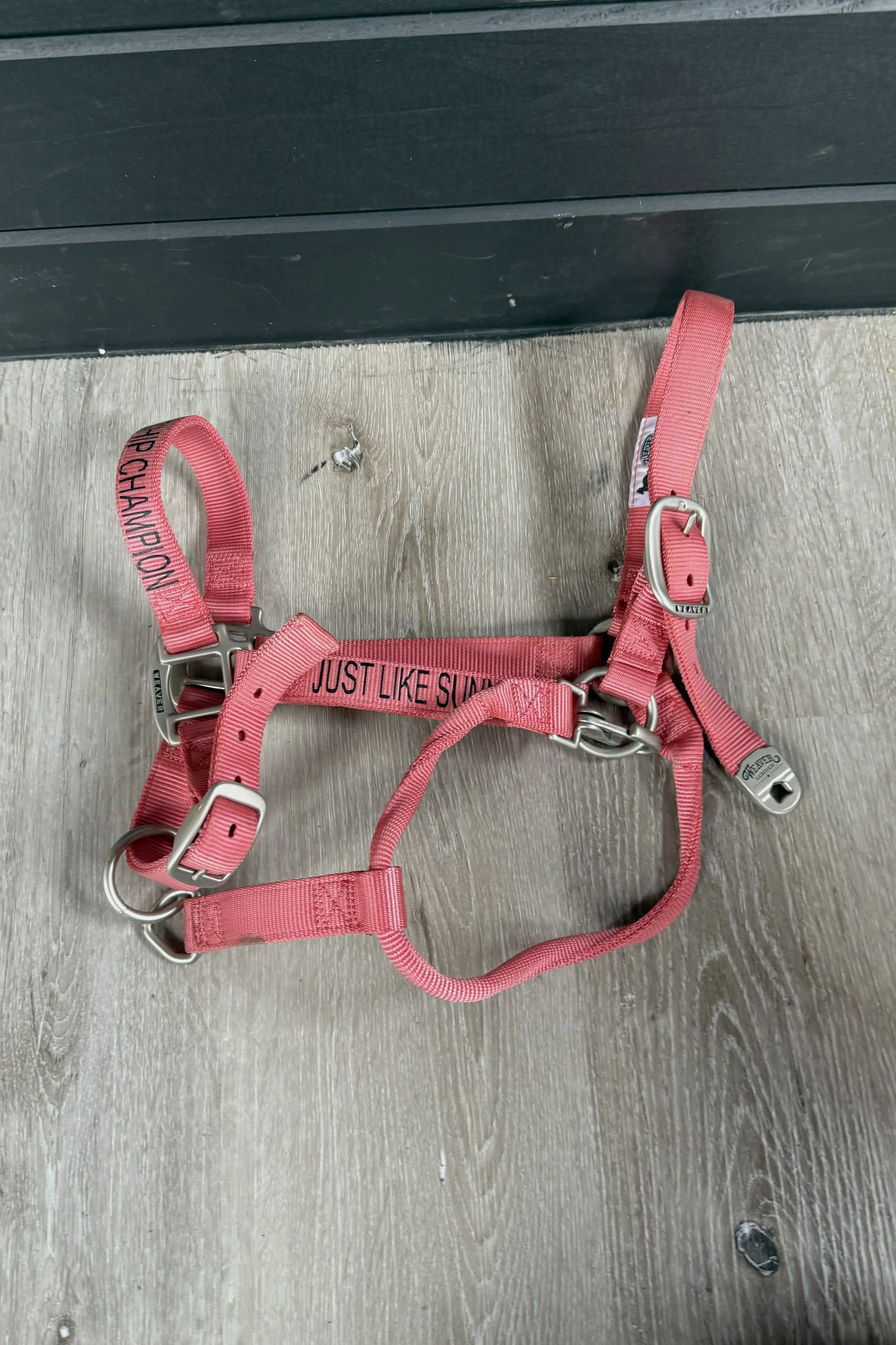 Weaver Nylon Halter In Pink - Large Horse