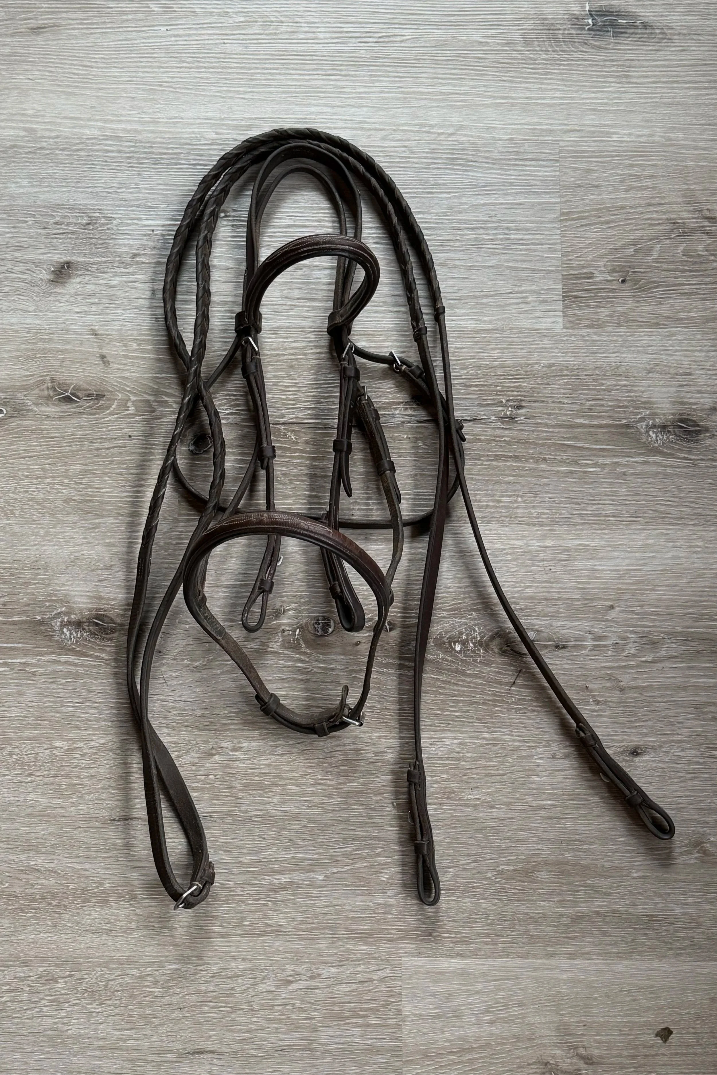 bridle%3Areins+.jpg