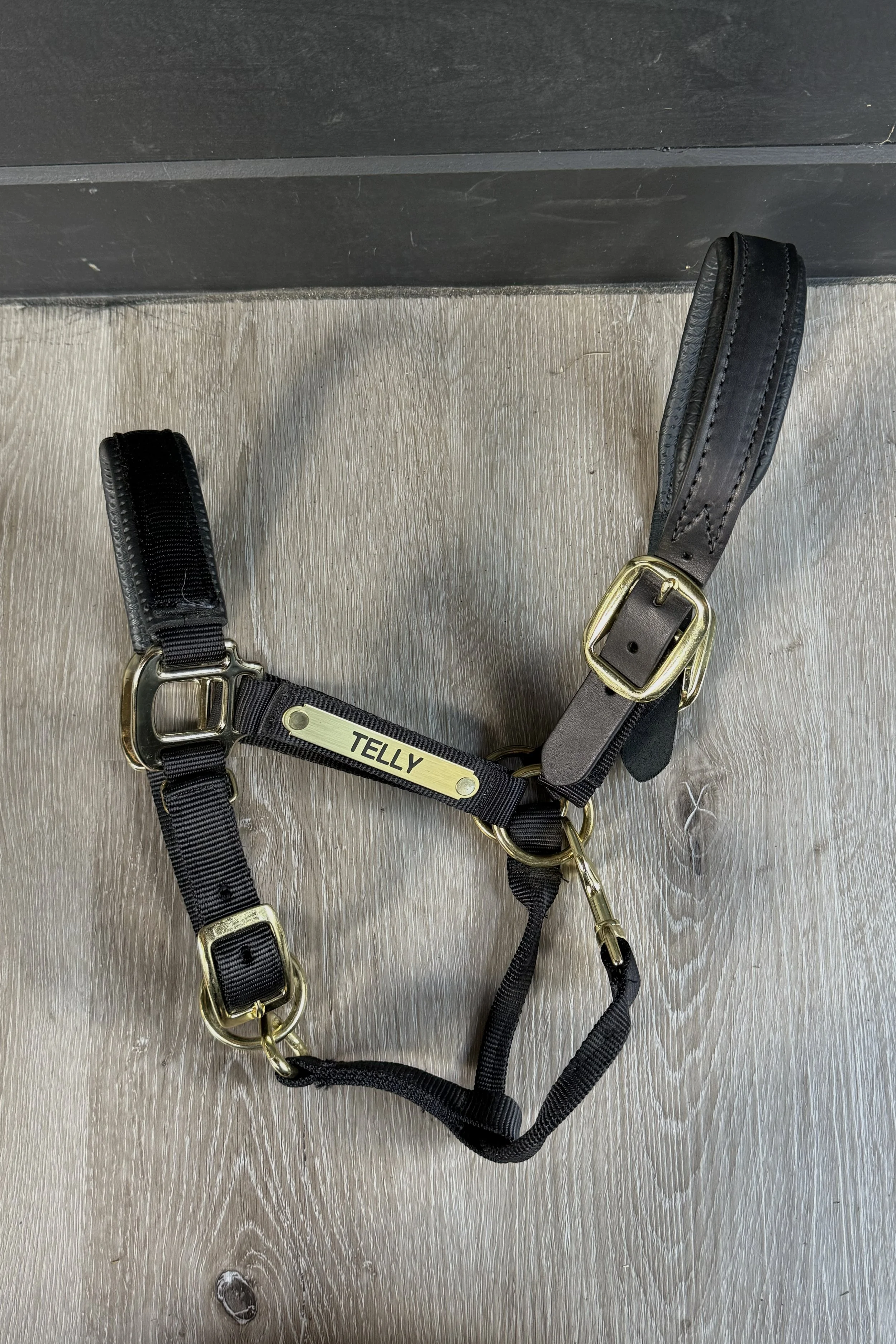 Nylon 1" Breakaway Halter In Black - Cob