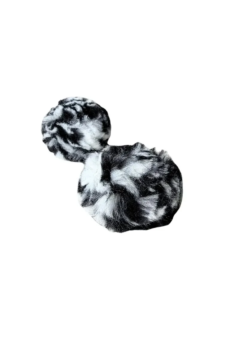 Zebra 1.jpg