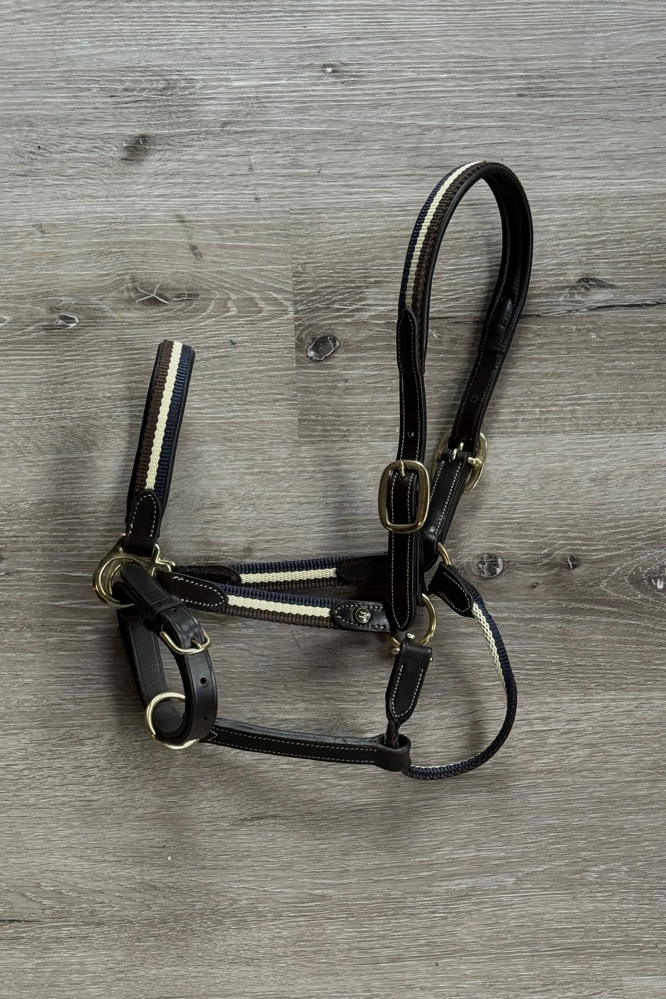 Harcour Leather & Nylon Halter In Brown, Navy & Cream - Cob